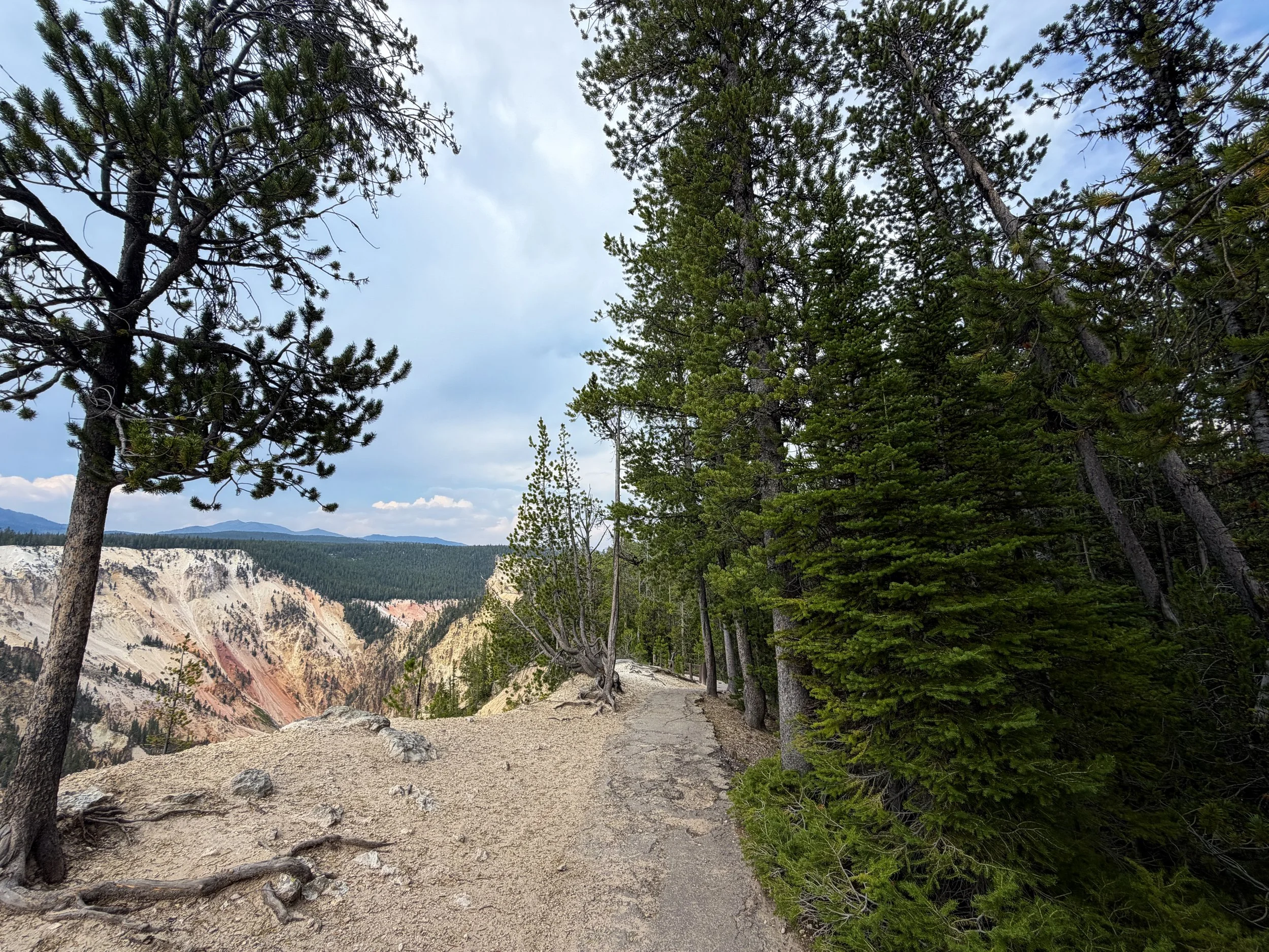 South Rim Trail Yellowstone National Park Wyoming