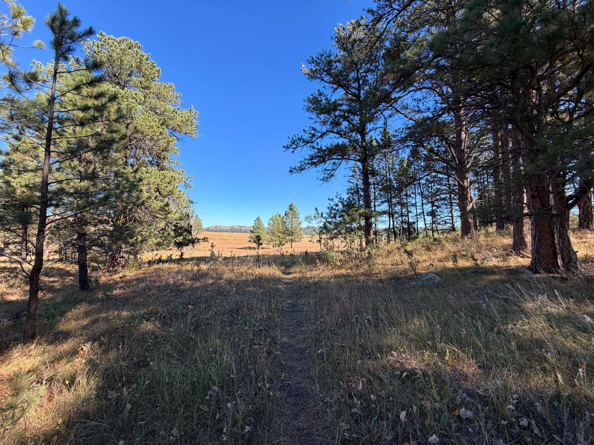Sanctuary Trail Wind Cave National Park South Dakota