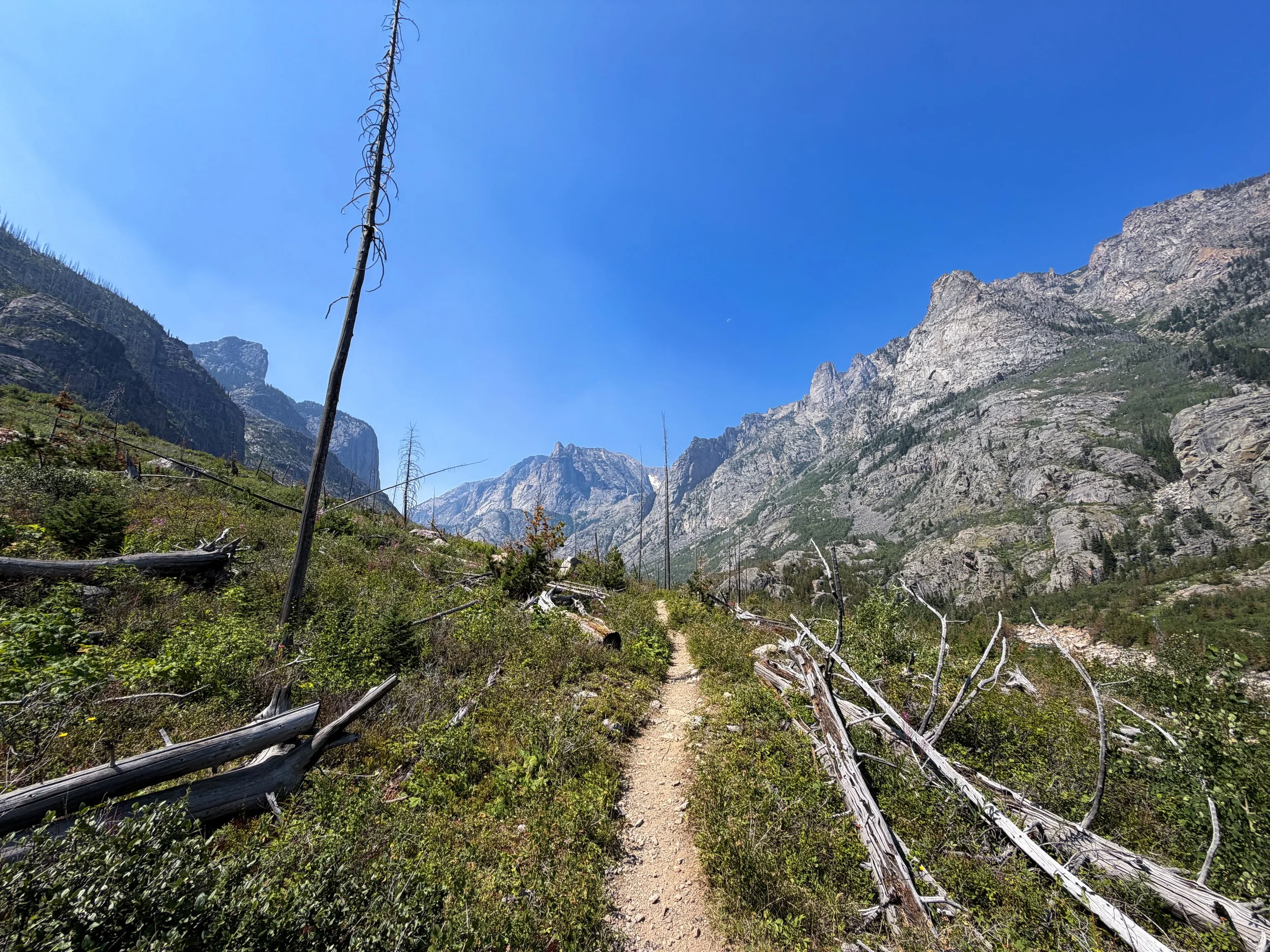 Beaten Path Hike Beartooth Mountains Montana