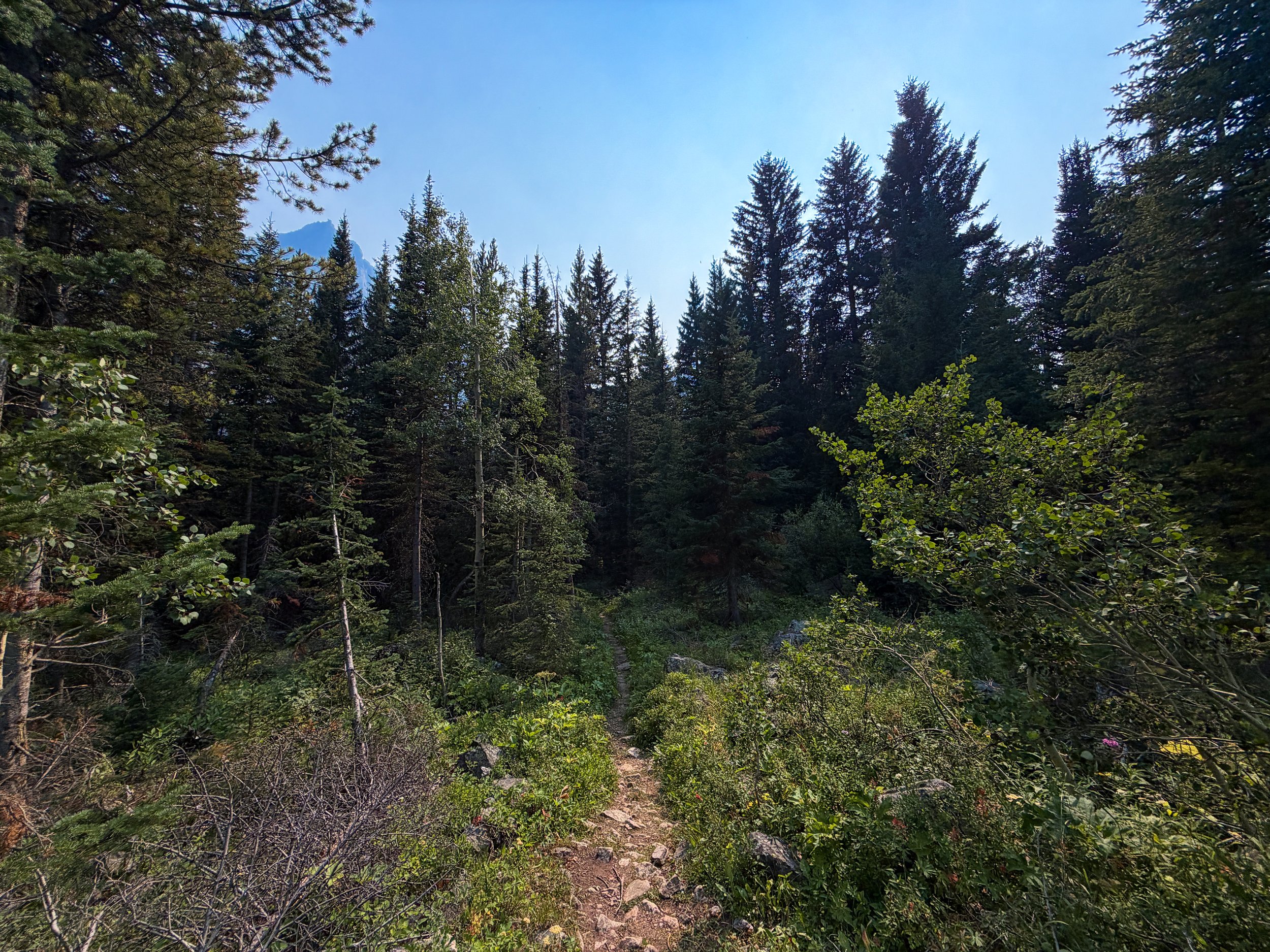 Beaten Path Trail Beartooth Mountains Montana