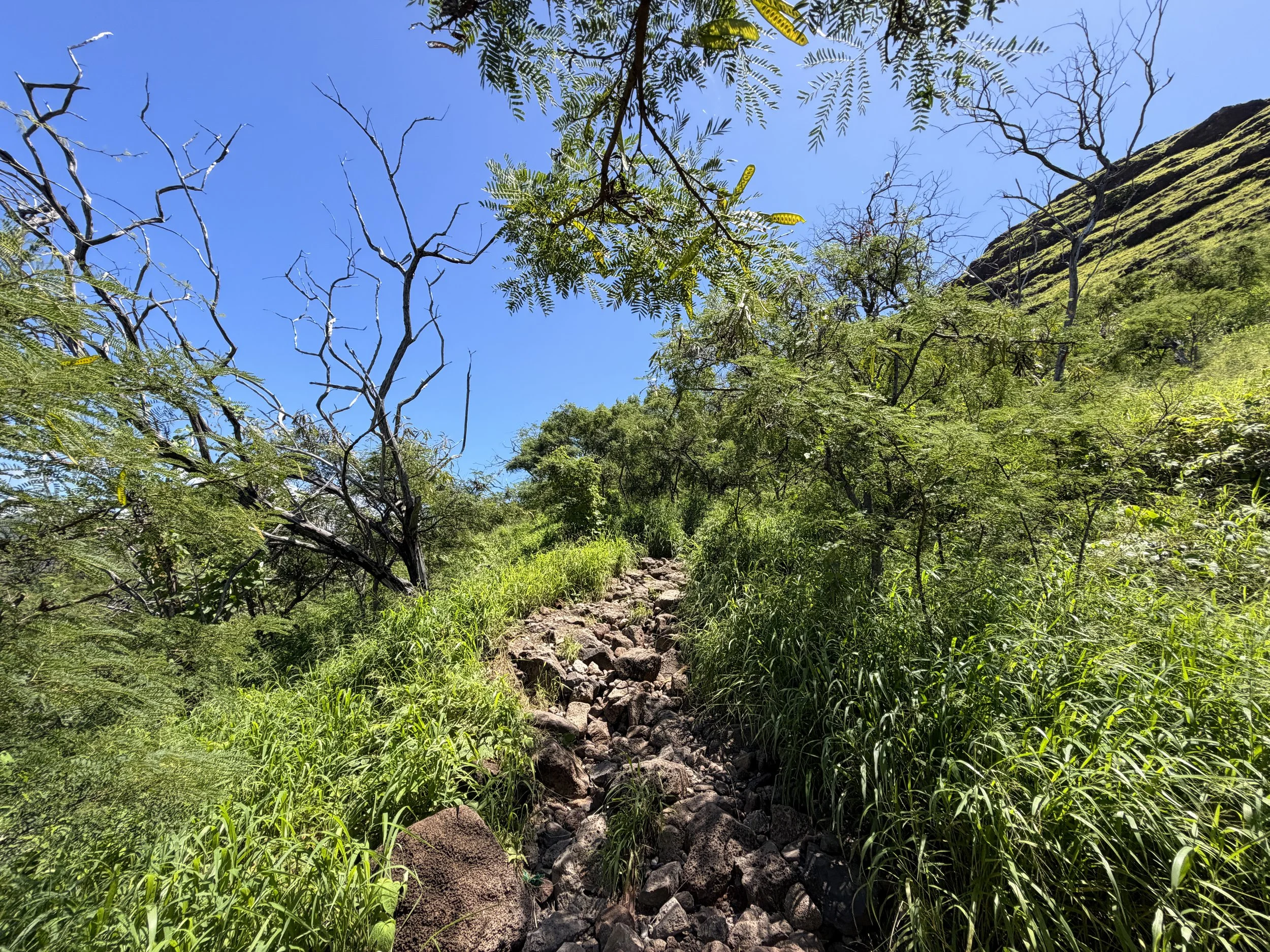 Puu O Hulu Trail Oahu Hawaii