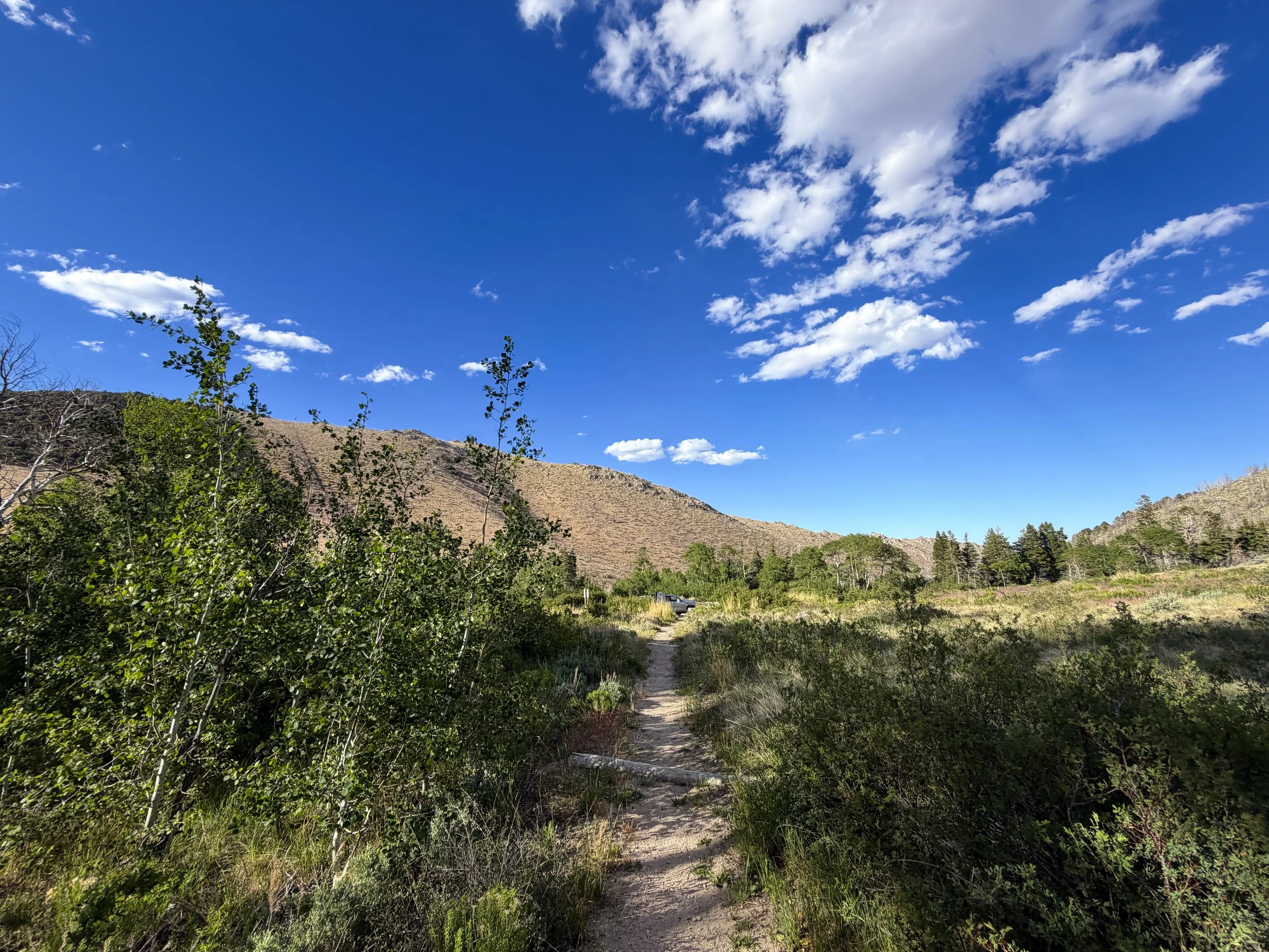Sage Steppe Loop Trail Great Basin National Park Nevada