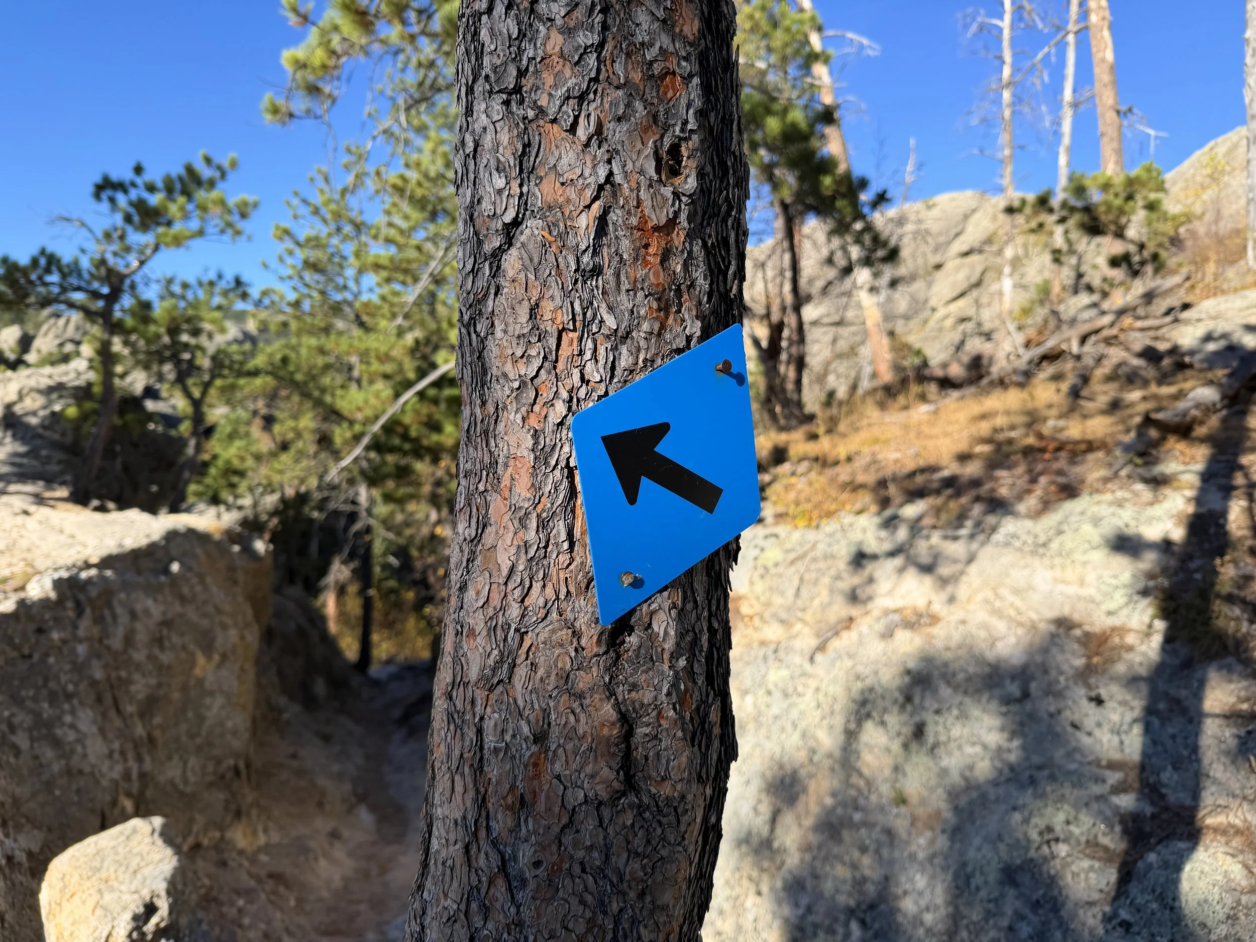 Sylvan Lake to Sunday Gulch Trail Custer State Park Black Hills South Dakota