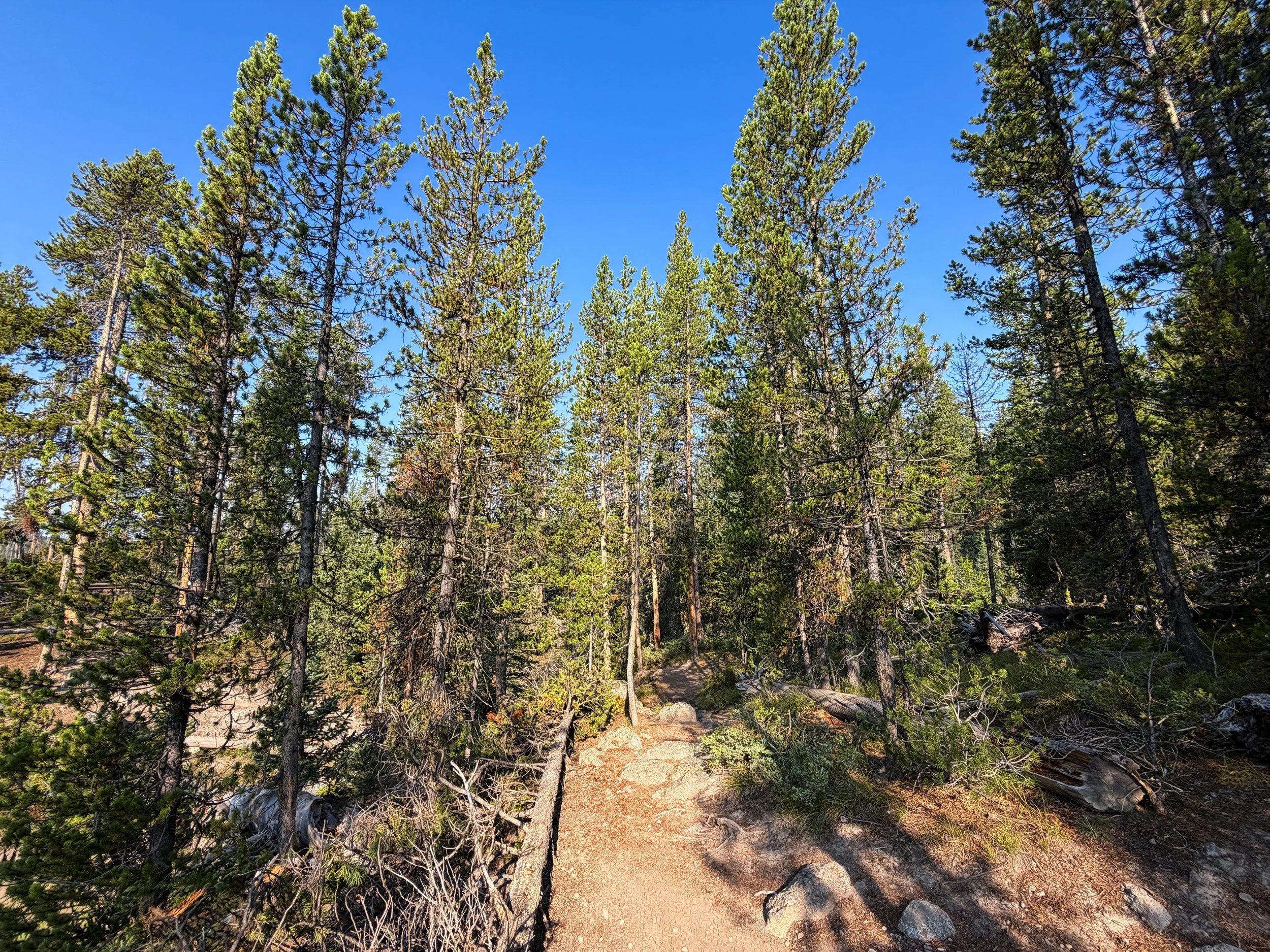 Natural Bridge Trail Yellowstone National Park Wyoming
