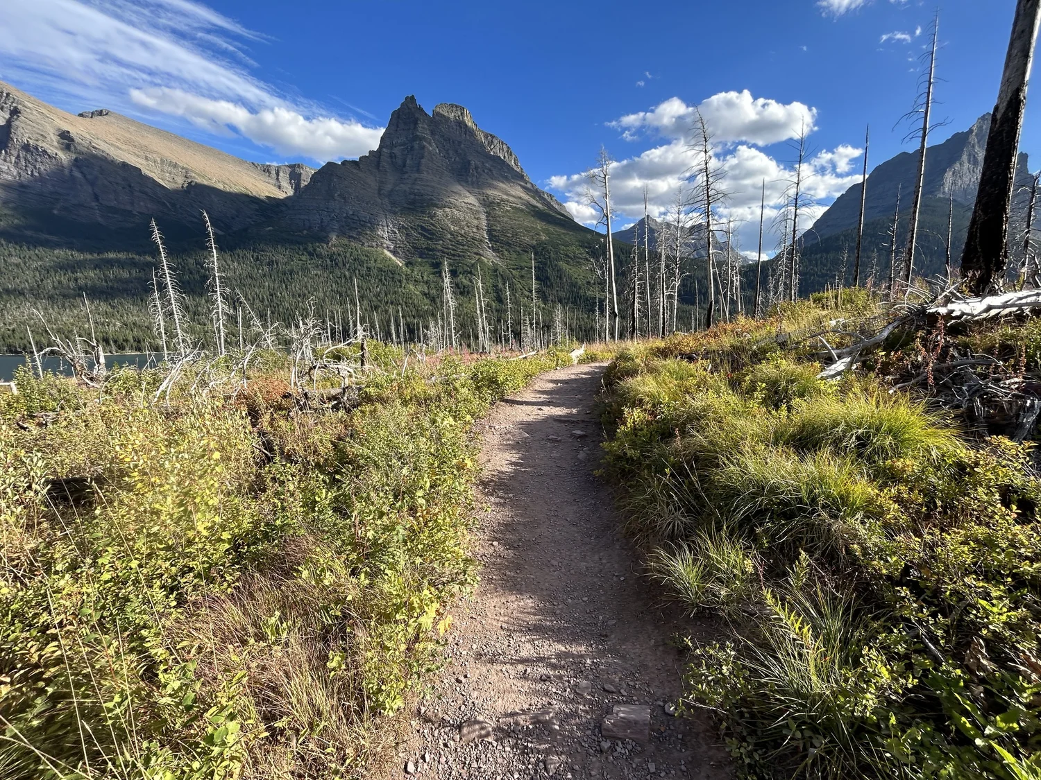 Hiking the St. Mary & Virginia Falls Trail in Glacier National Park ...