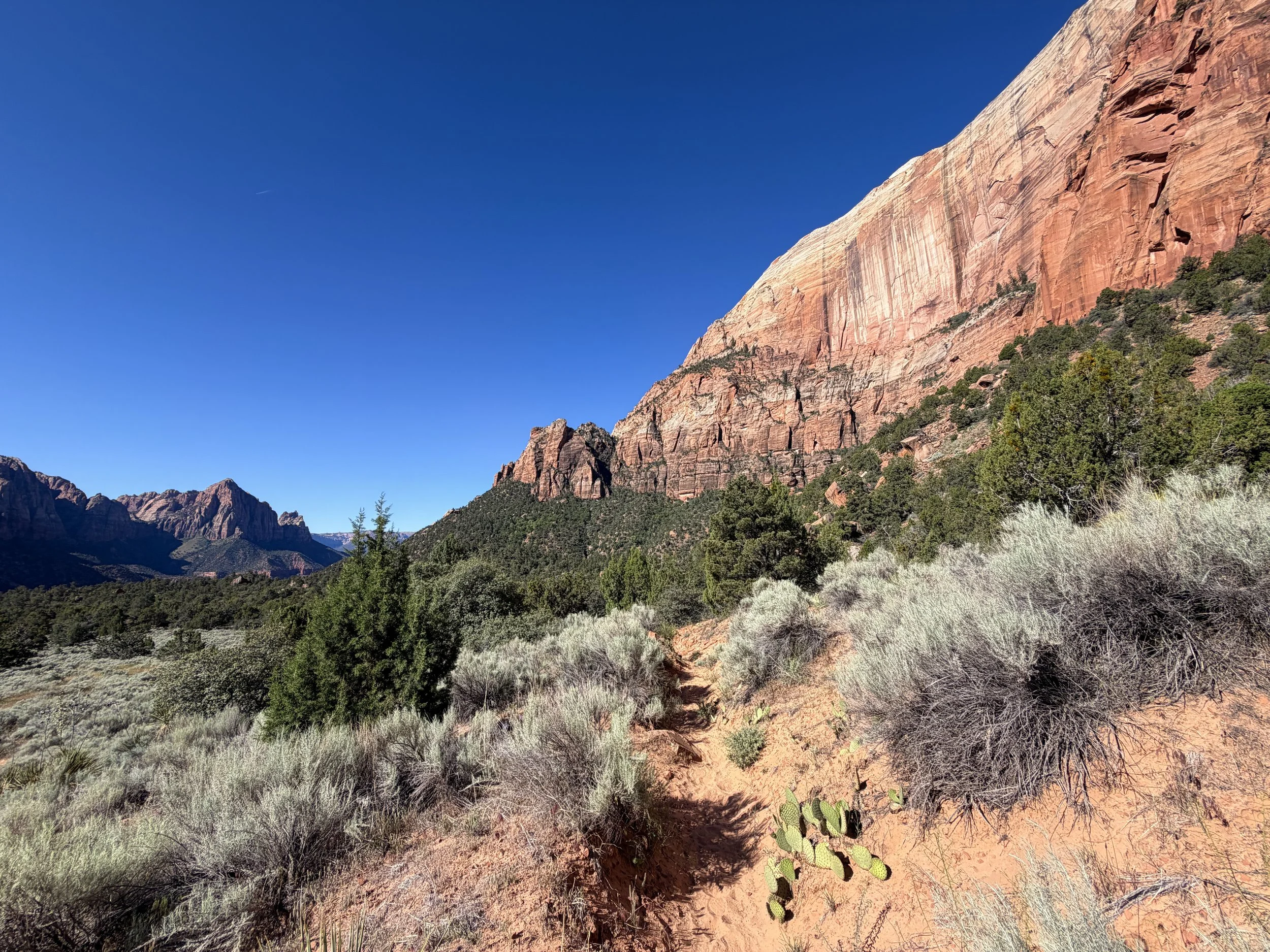 Sand Bench Loop Hike Zion National Park Utah