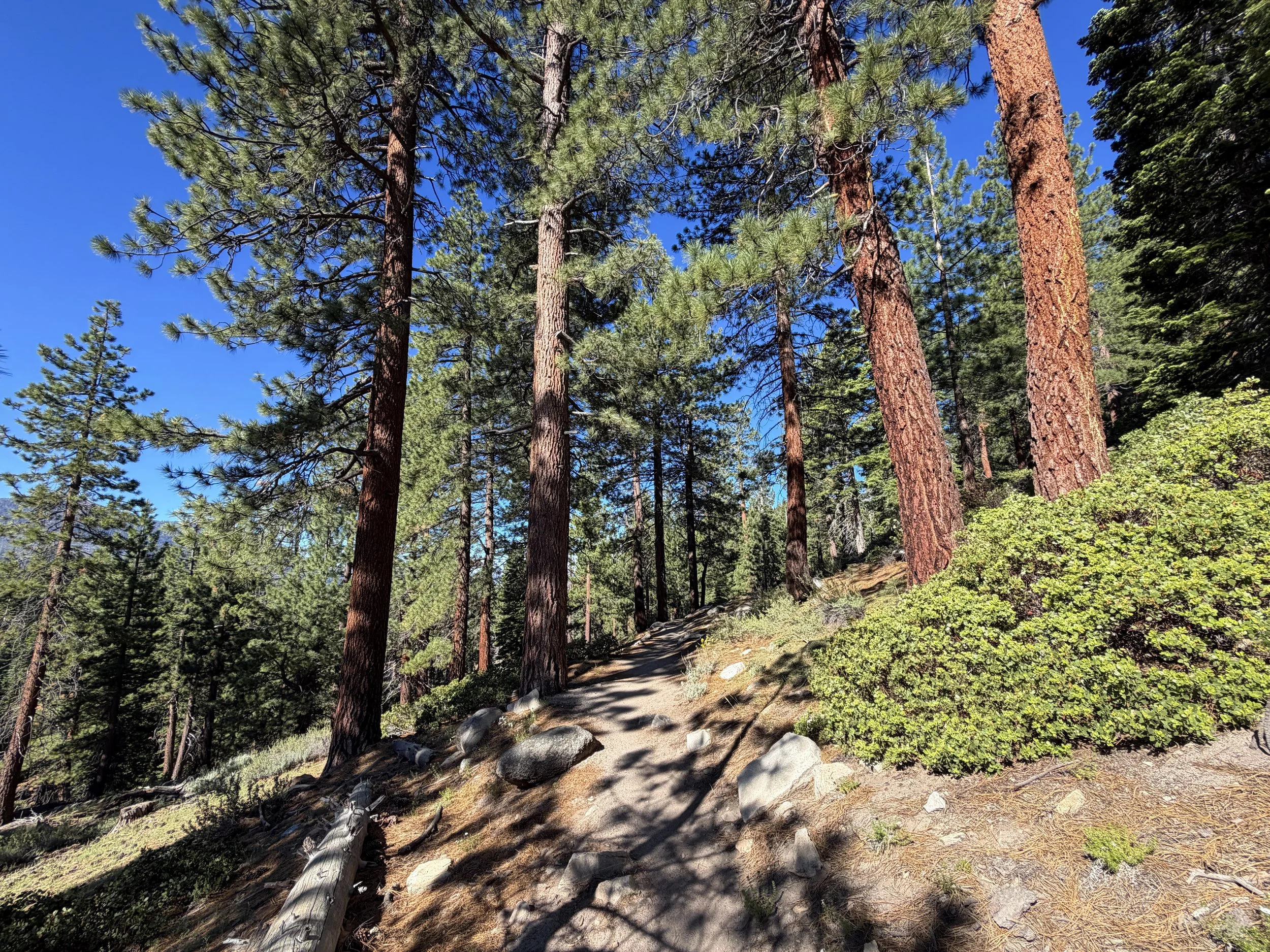 Castle Rock Trail Lake Tahoe Nevada