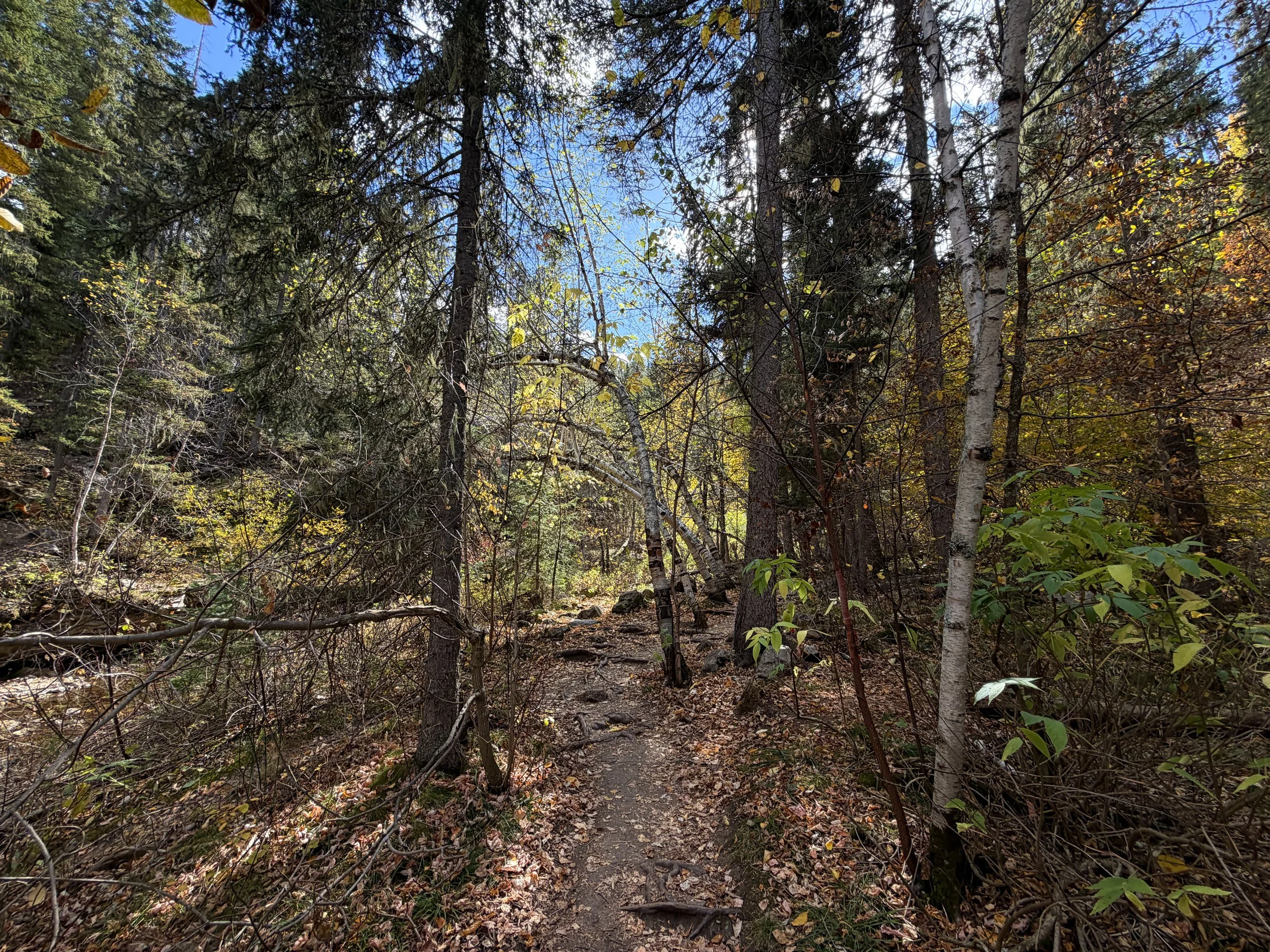 Devils Bathtub Hike Spearfish Canyon Black Hills South Dakota