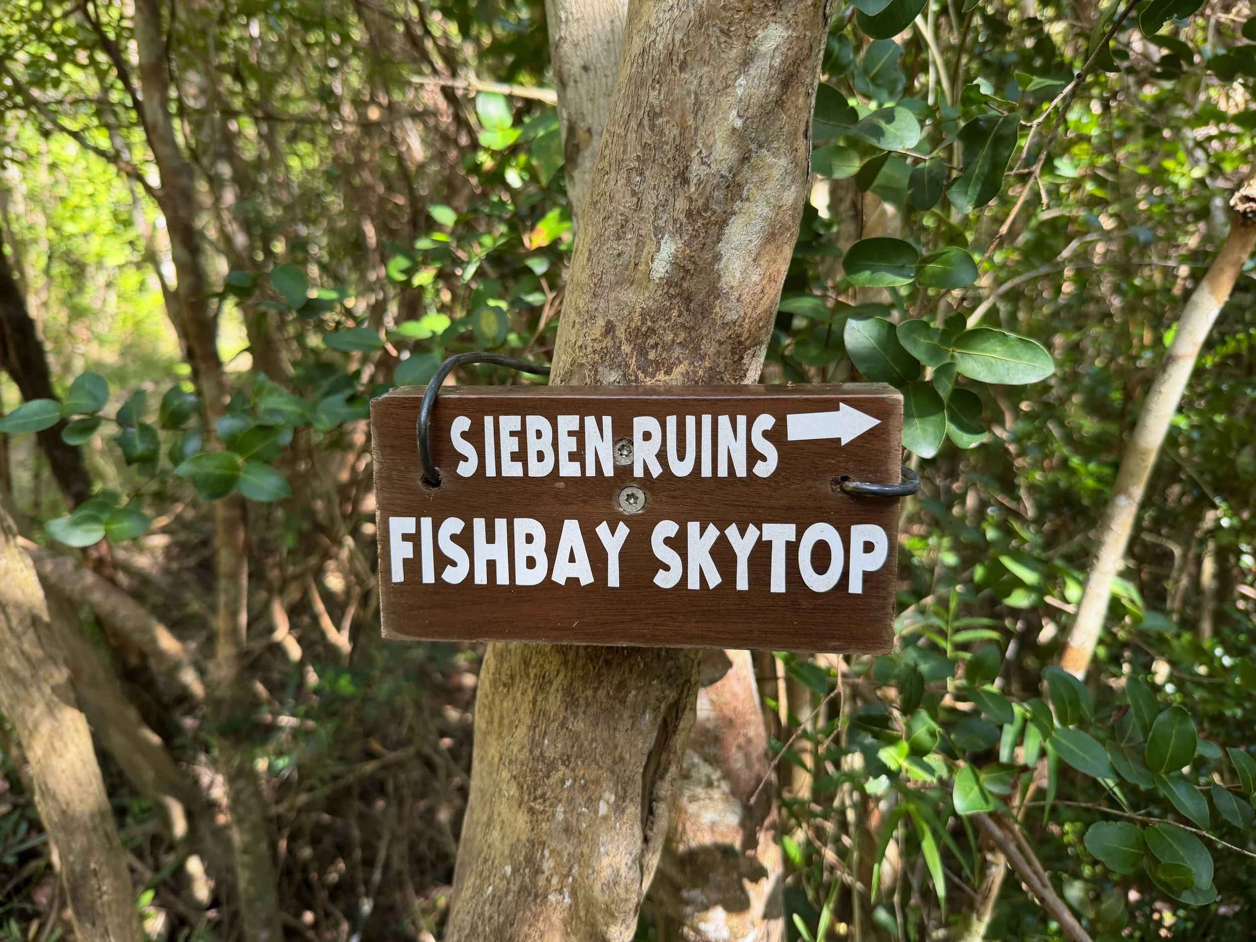 Great Sieben Trail Virgin Islands National Park