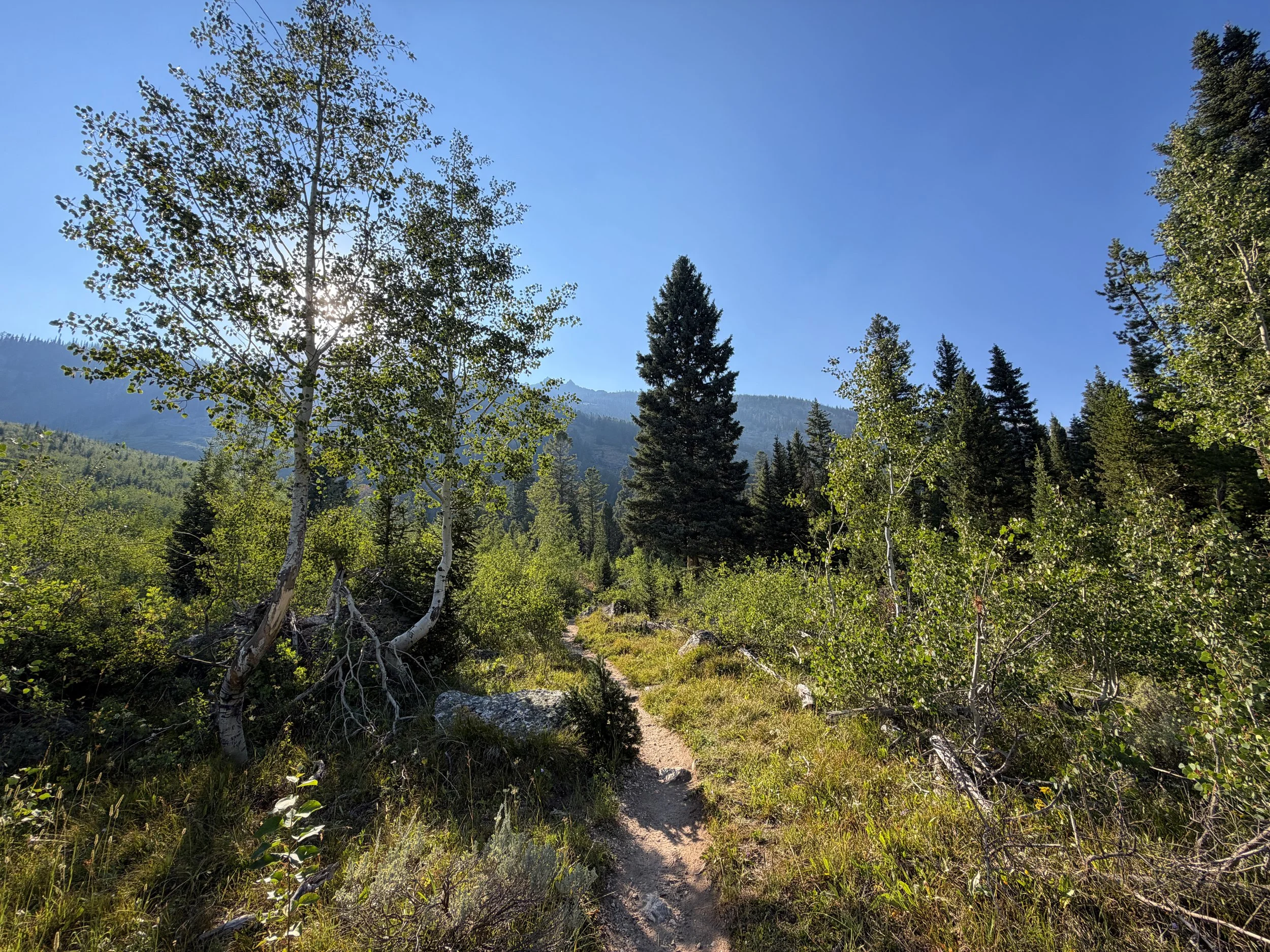 Moose Ponds Trail Grand Teton National Park Wyoming