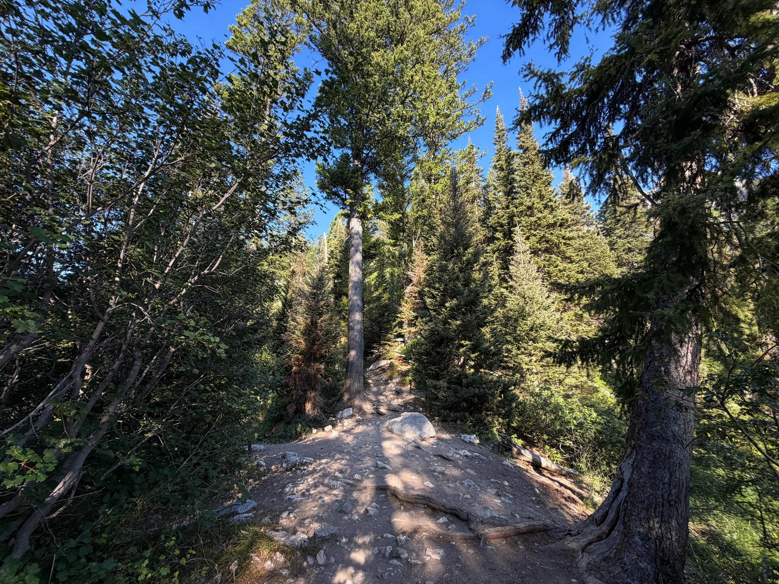 Delta Lake Trail Grand Teton National Park Wyoming