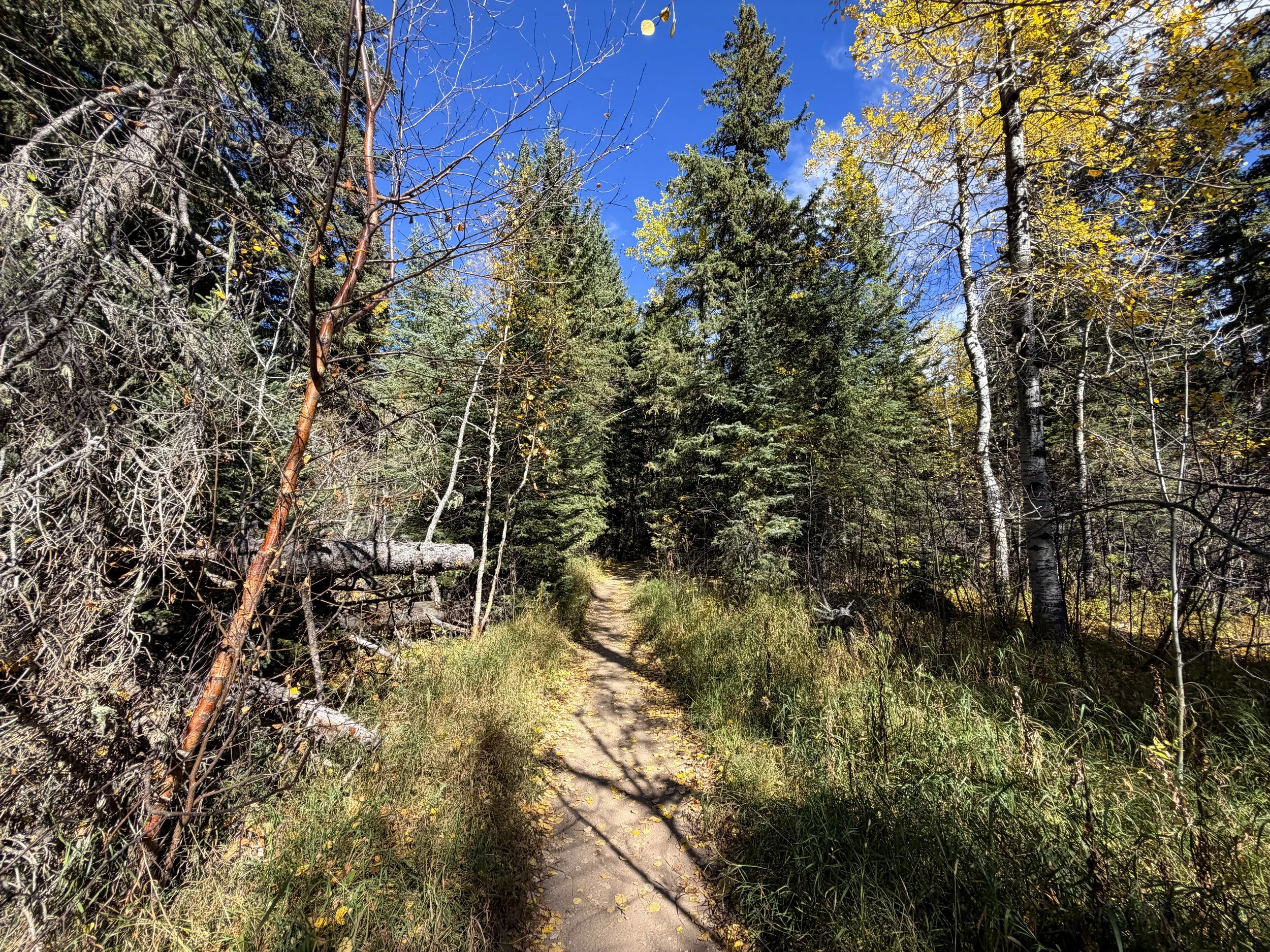 Black Elk Peak via Trail 9 Black Hills South Dakota