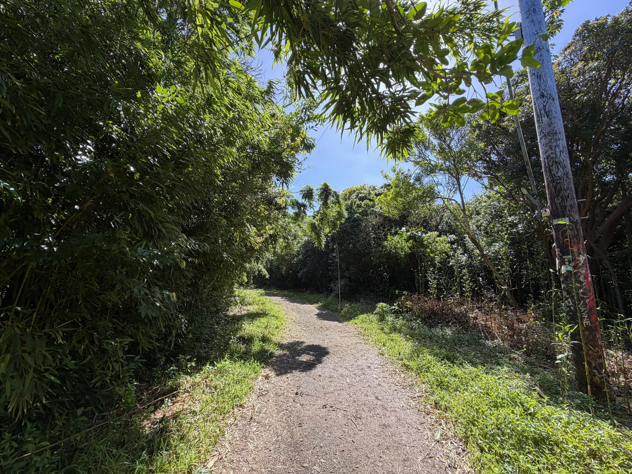 Lulumahu Falls Trail Oahu Hawaii