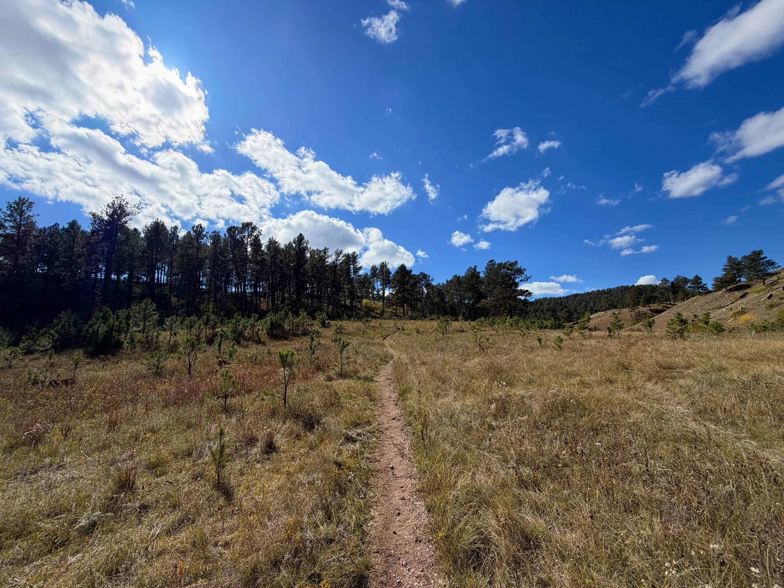 Lookout Point Loop Trail Wind Cave National Park South Dakota