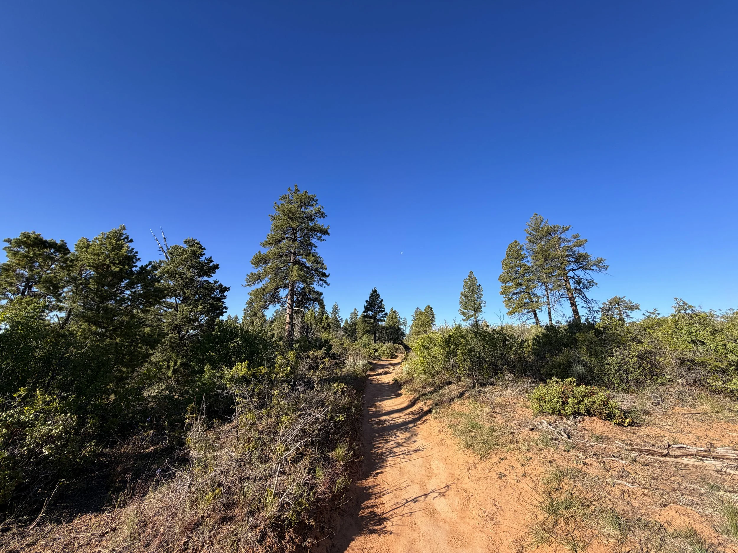 Observation Point Trail via East Mesa Trailhead Zion National Park Utah