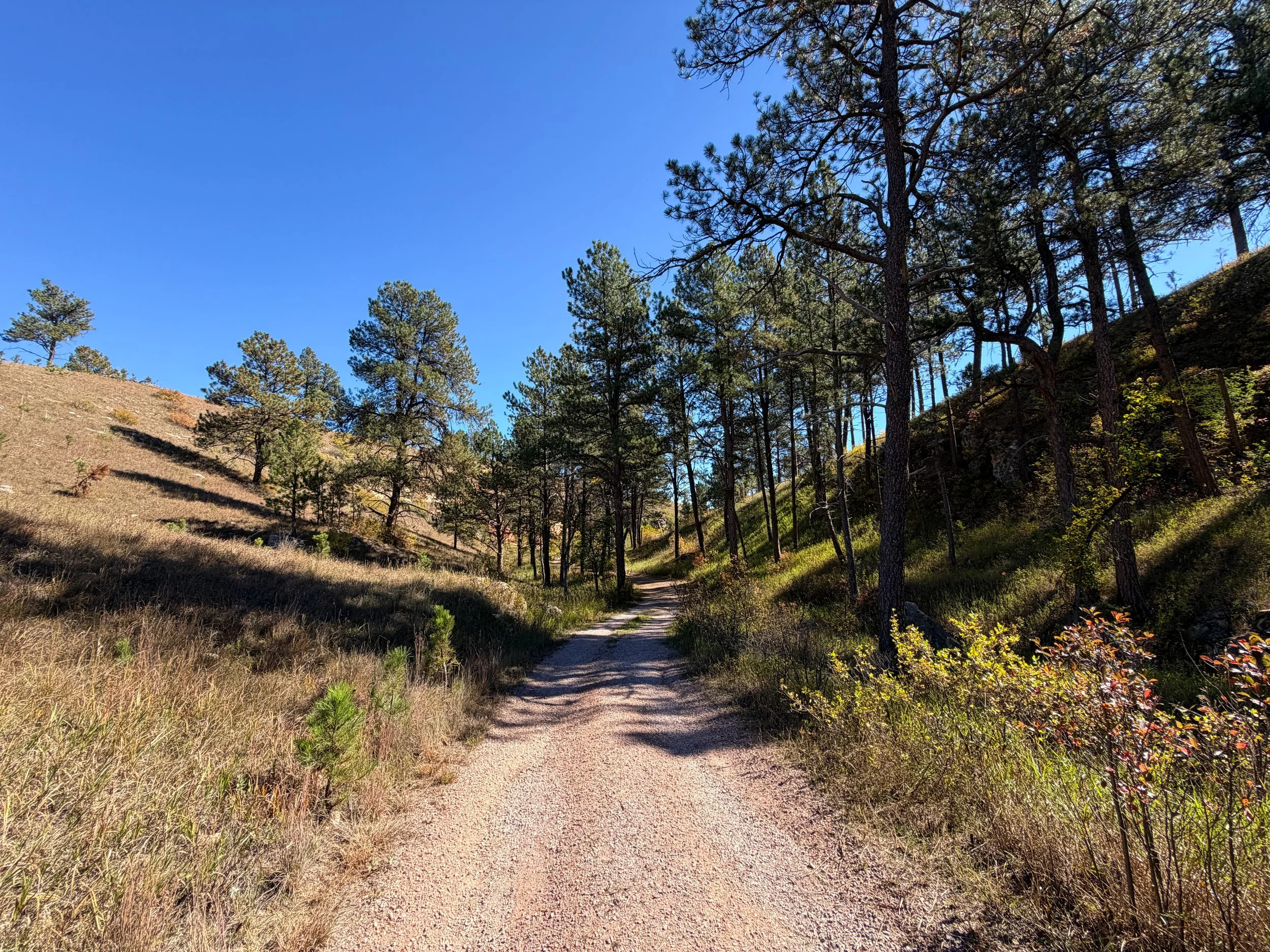 Wind Cave Canyon Trail Wind Cave National Park South Dakota