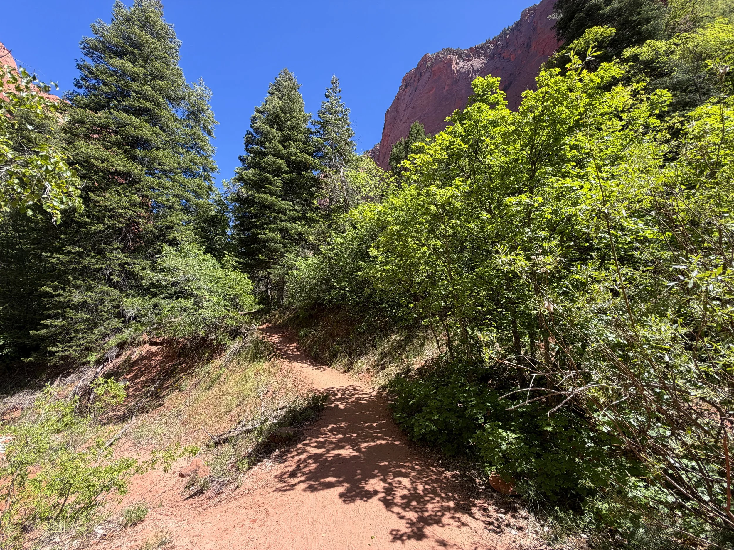 Taylor Creek Trail Zion National Park Utah