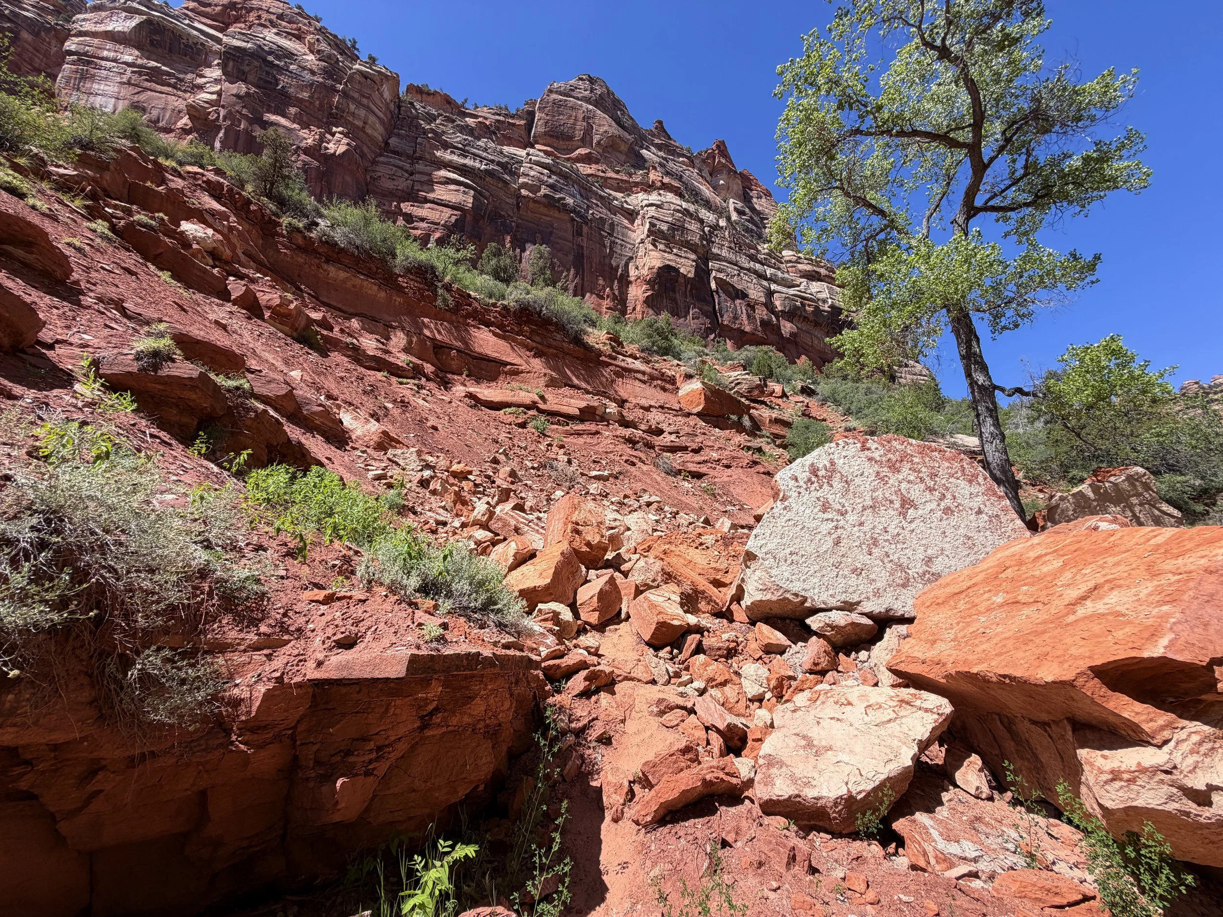 Subway Trail Zion National Park Utah