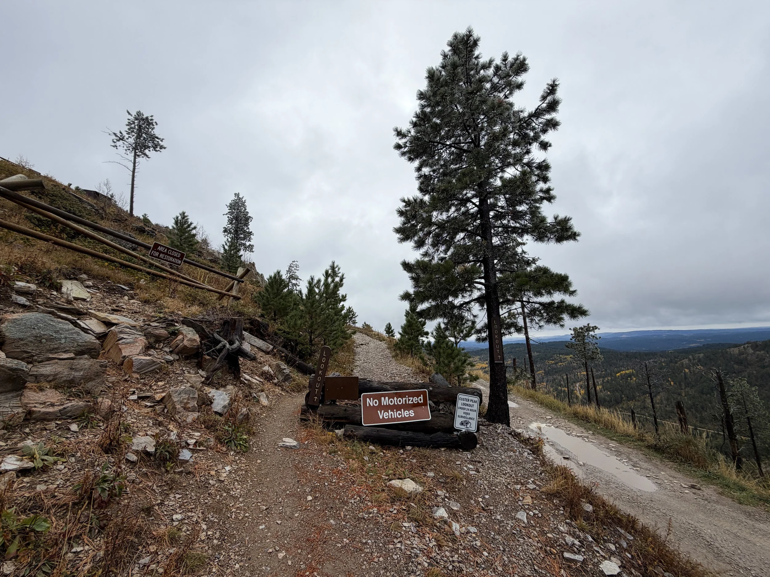 Custer Peak Trailhead Black Hills South Dakota