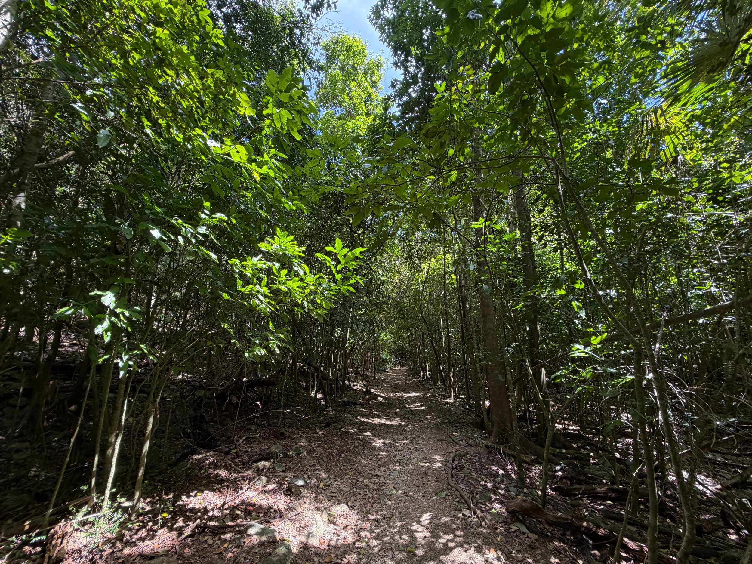 Reef Bay Trail Virgin Islands National Park