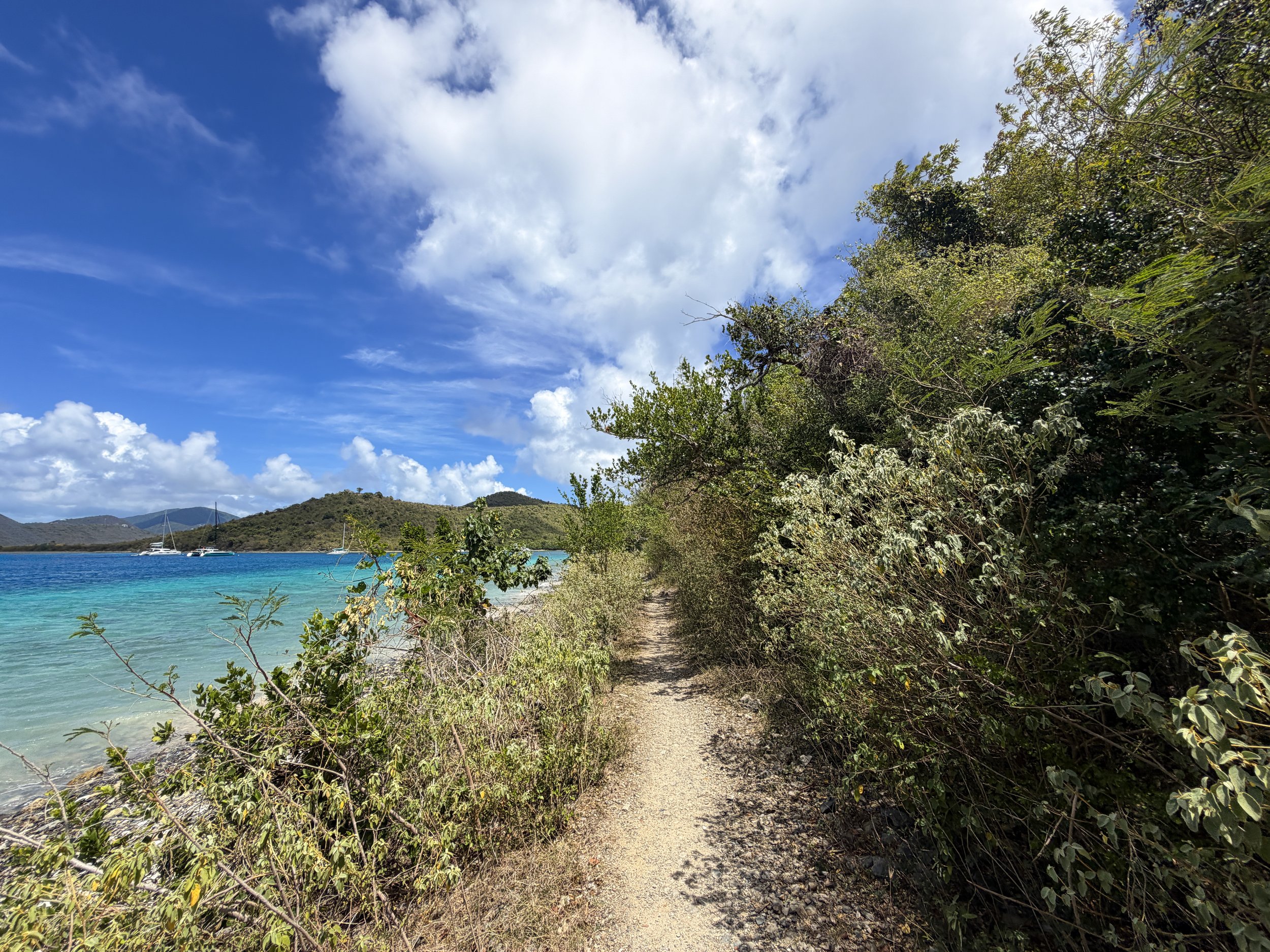 Leinster Bay Trail to Waterlemon Cay Virgin Islands National Park
