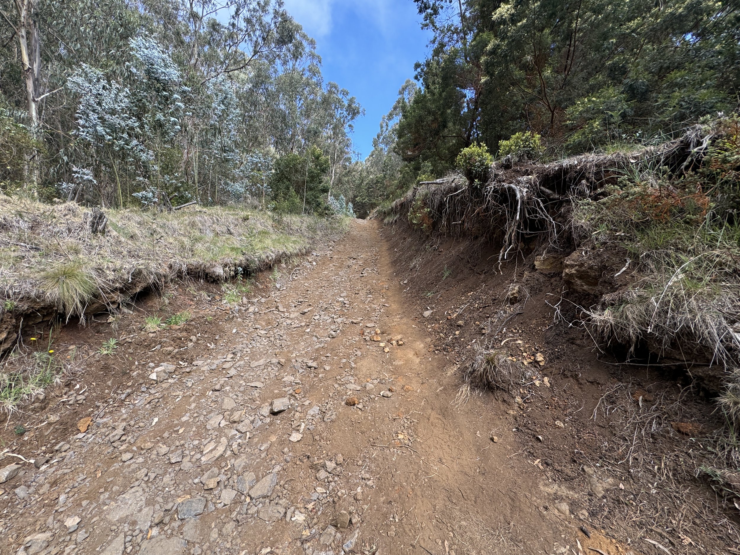 Hiking the Waiakoa Loop Trail on Maui, Hawaiʻi — noahawaii