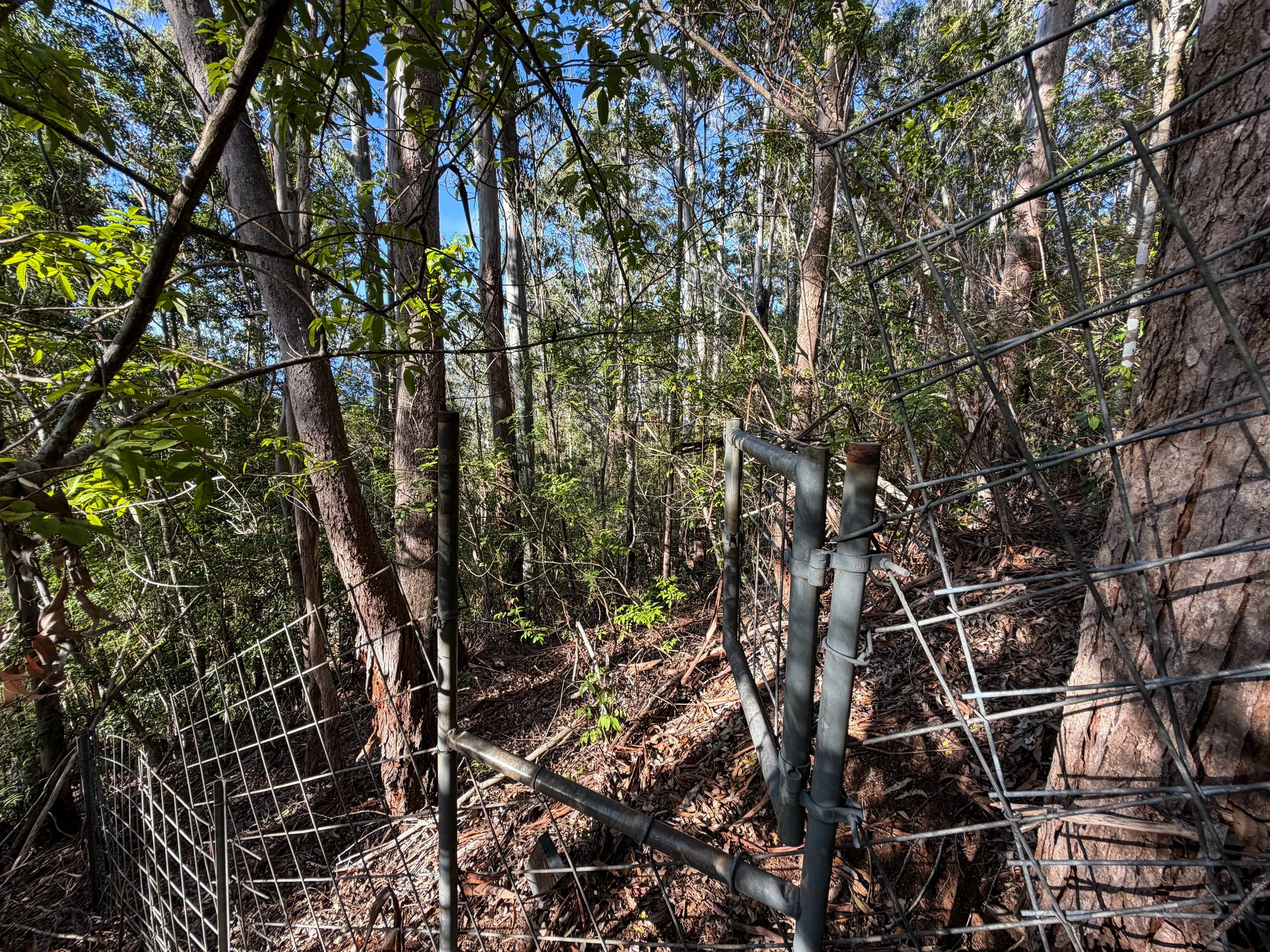 Mokuleia Trail Oahu Hawaii