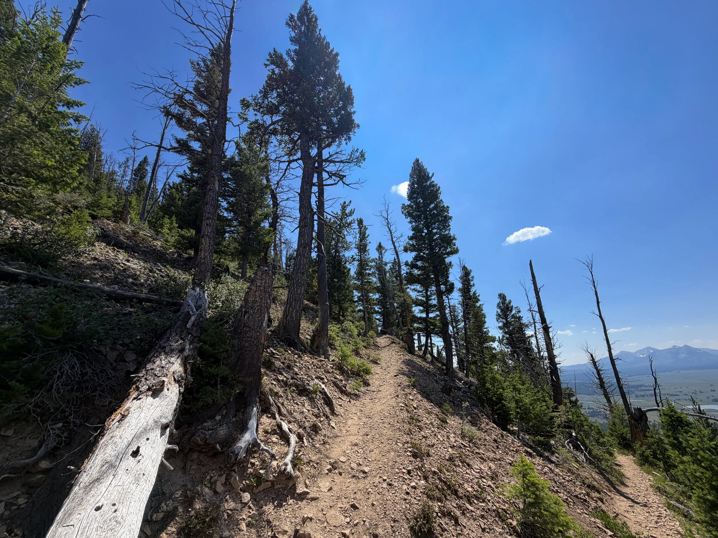 Bunsen Peak Trail Yellowstone National Park Wyoming