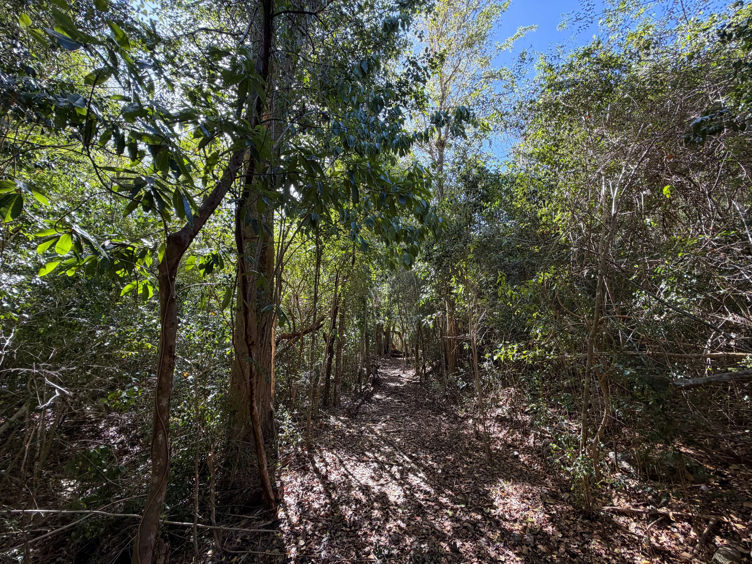Lameshur Bay Trail to Europa Point Virgin Islands National Park