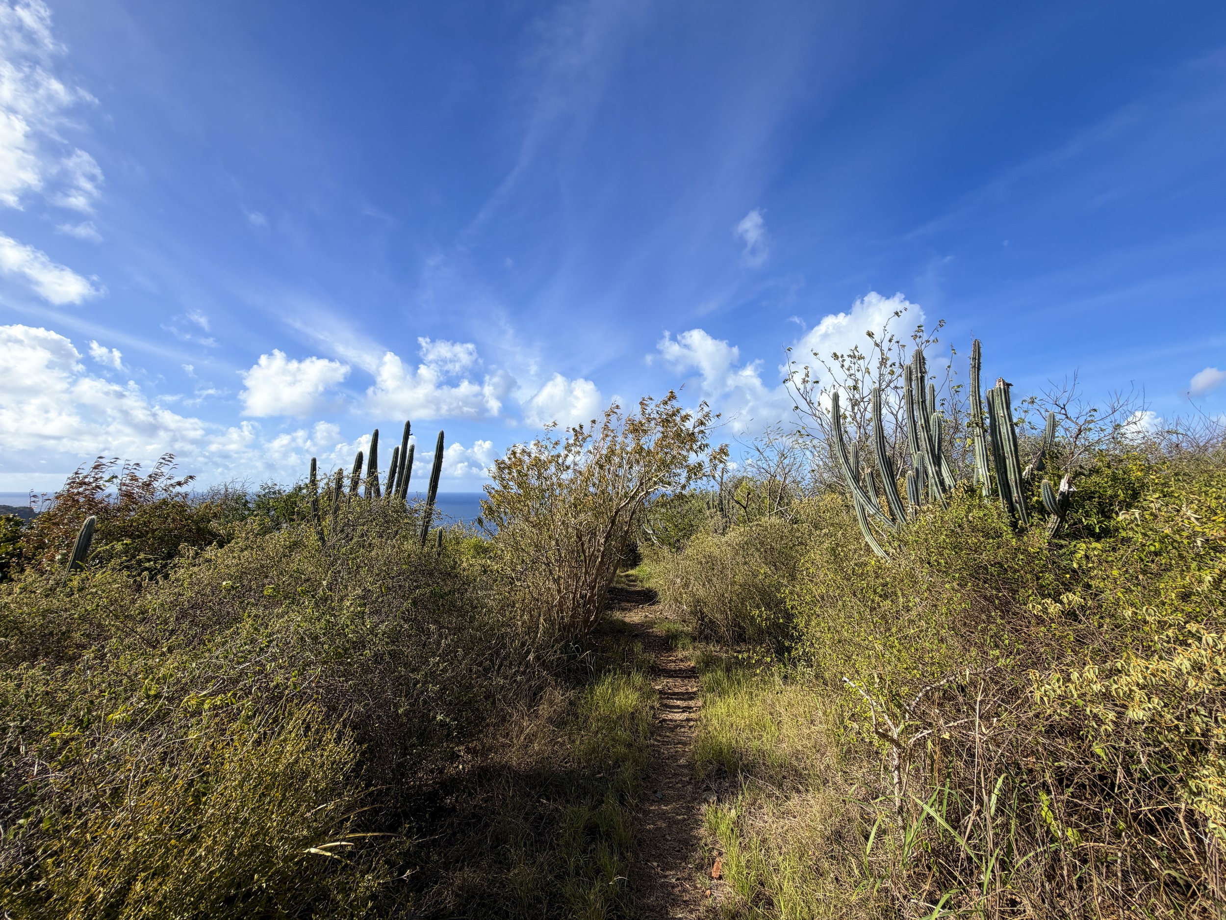Tektite Trail Virgin Islands National Park
