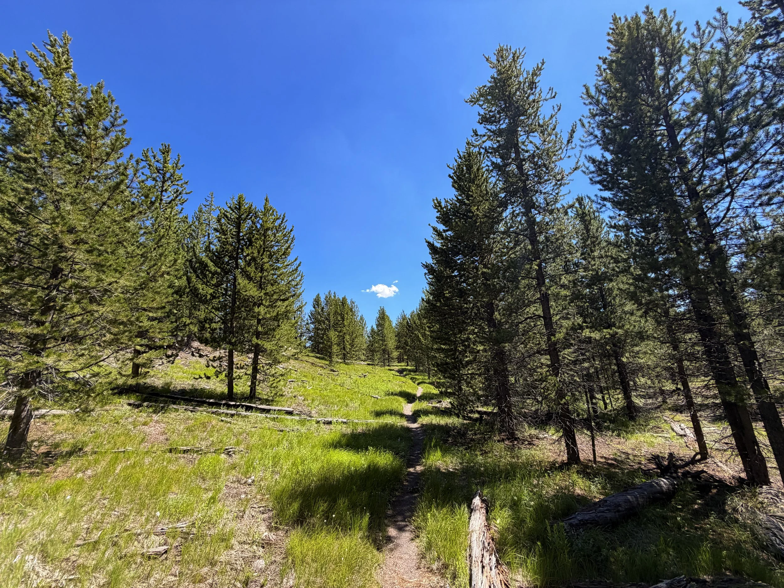 Fern Cascades Loop Trail Yellowstone National Park Wyoming