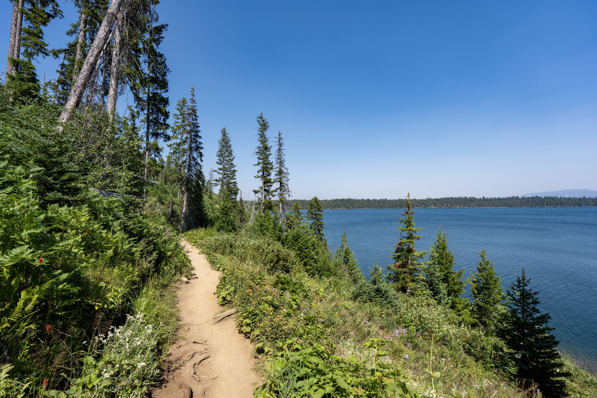 Jenny Lake Loop Trail Grand Teton National Park Wyoming