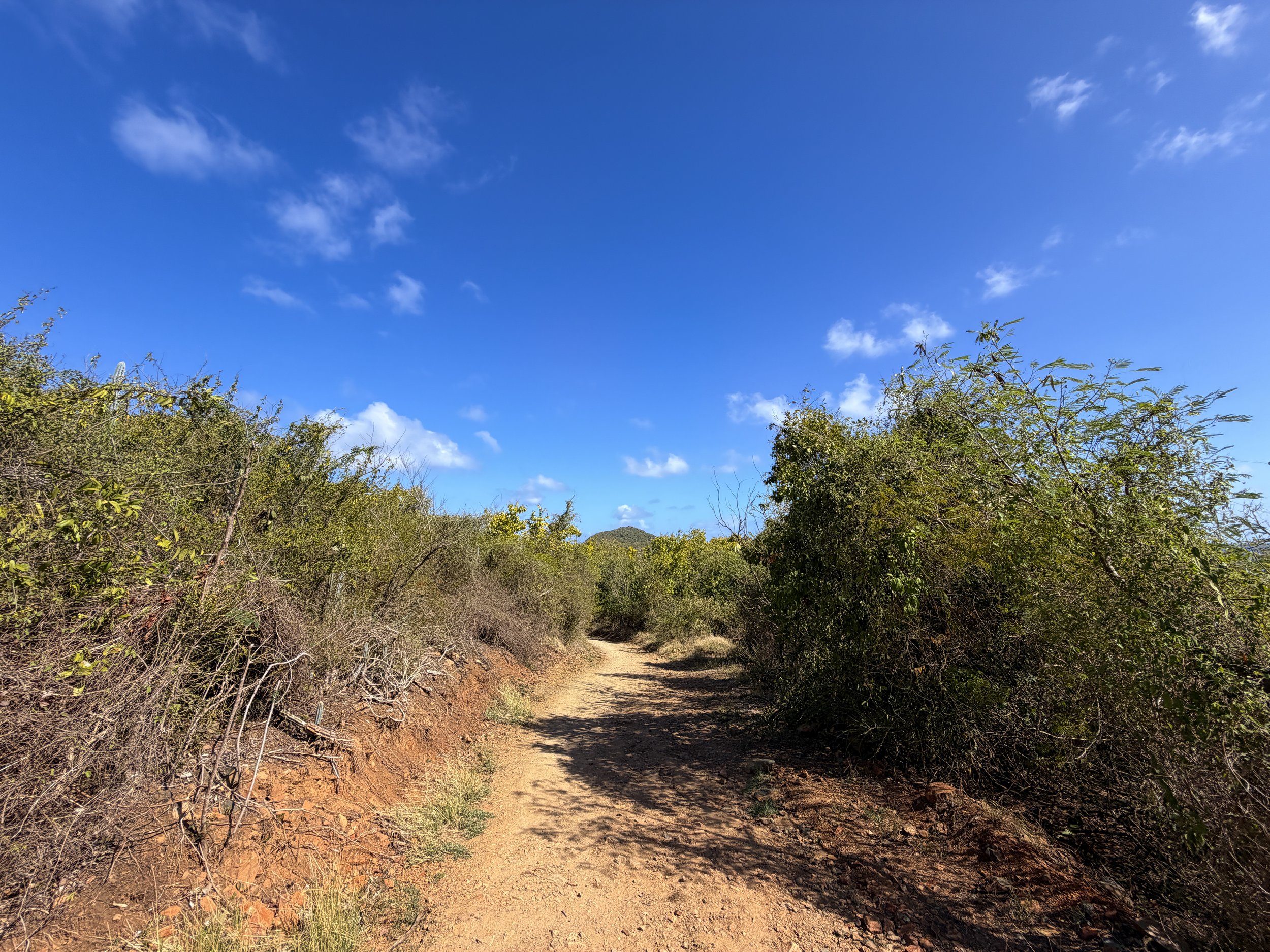 Drunk Bay Trail Virgin Islands National Park