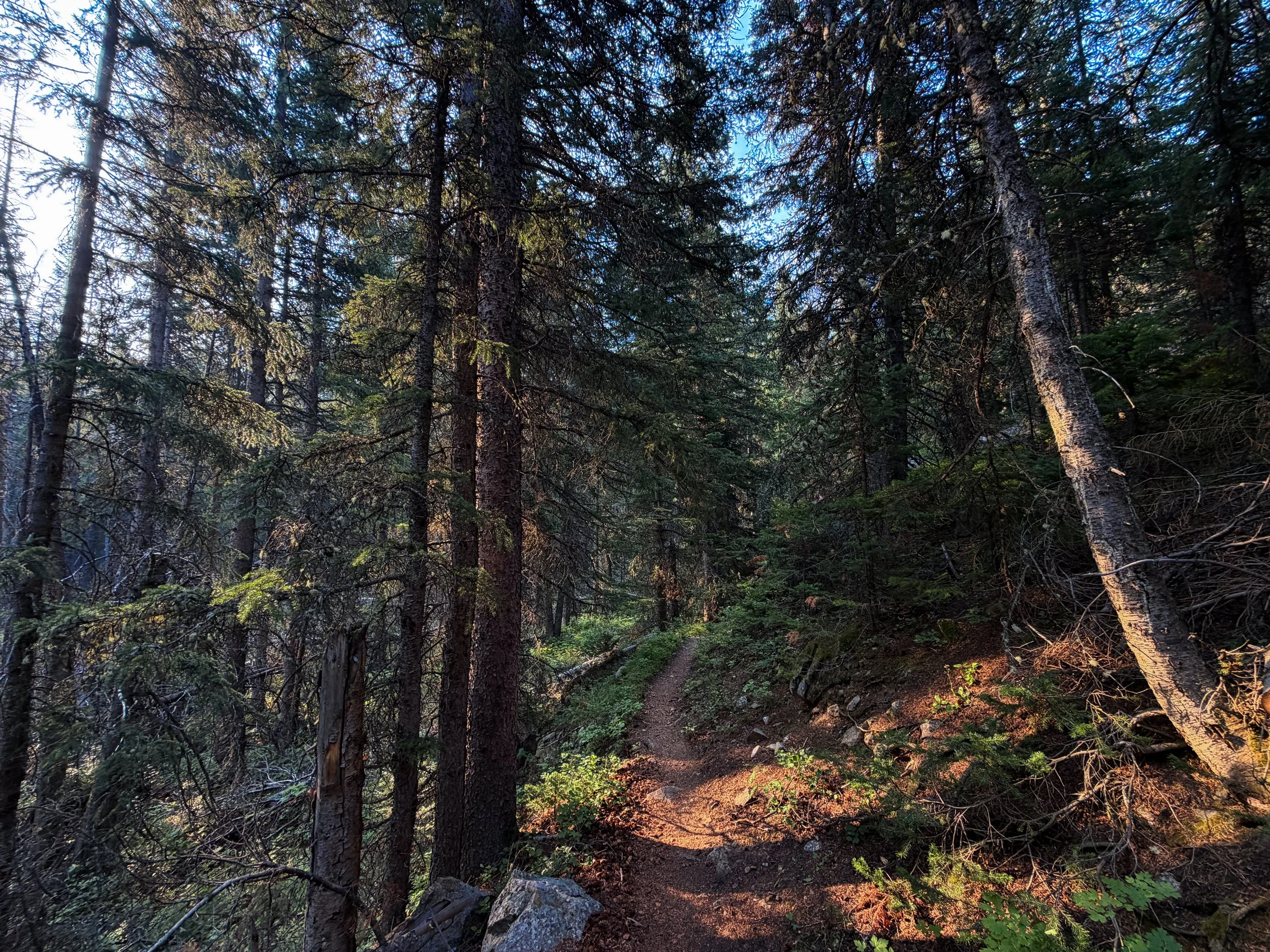 Beaten Path Trail Beartooth Mountains Montana