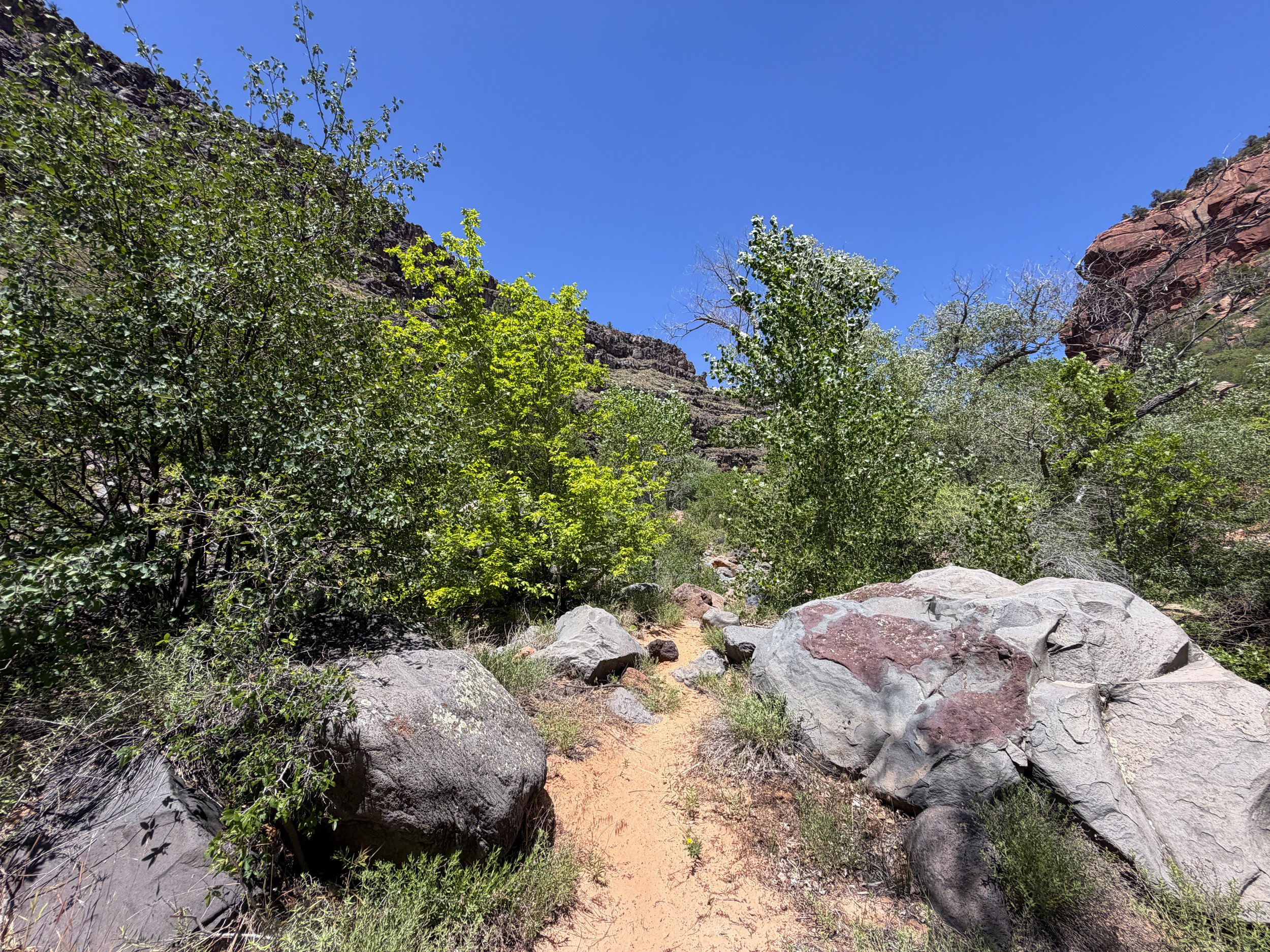 Grapevine Hike to Left Fork Falls Zion National Park Utah