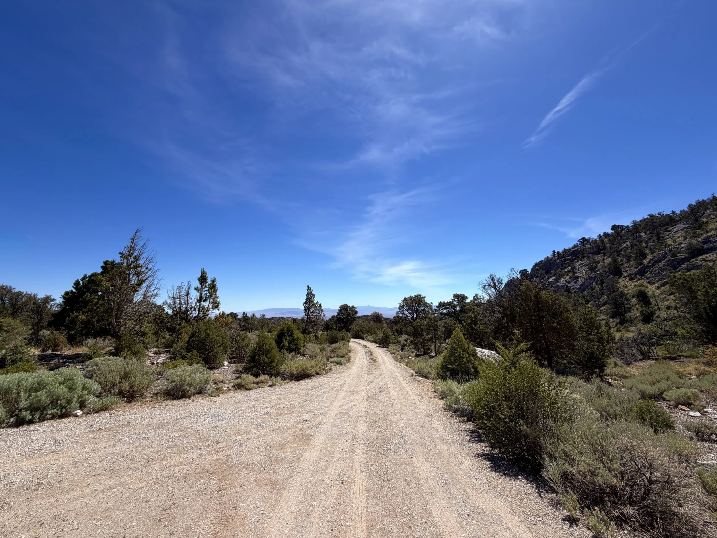 Grey Cliffs Campground Pole Canyon Trail Great Basin National Park Nevada