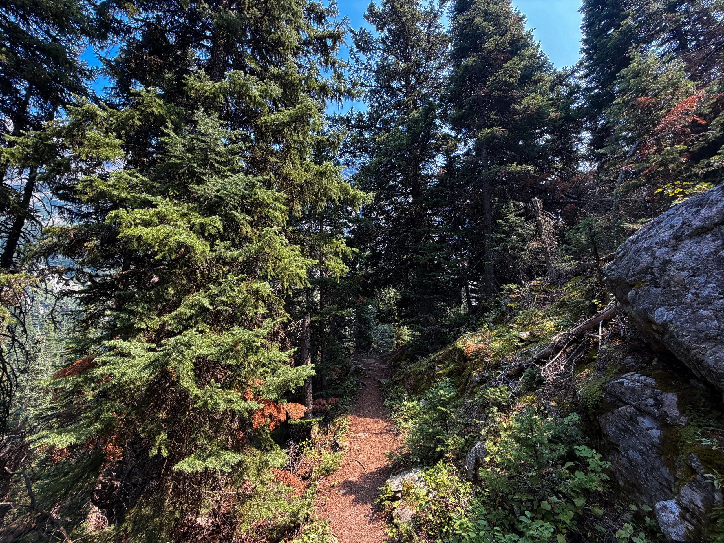 Beaten Path Trail Beartooth Mountains Montana