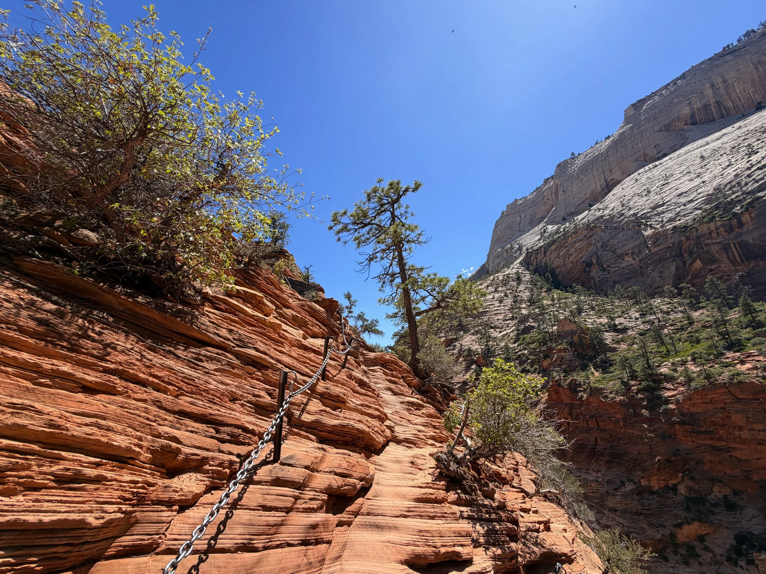 Angels Landing Trail Chains Zion National Park Utah
