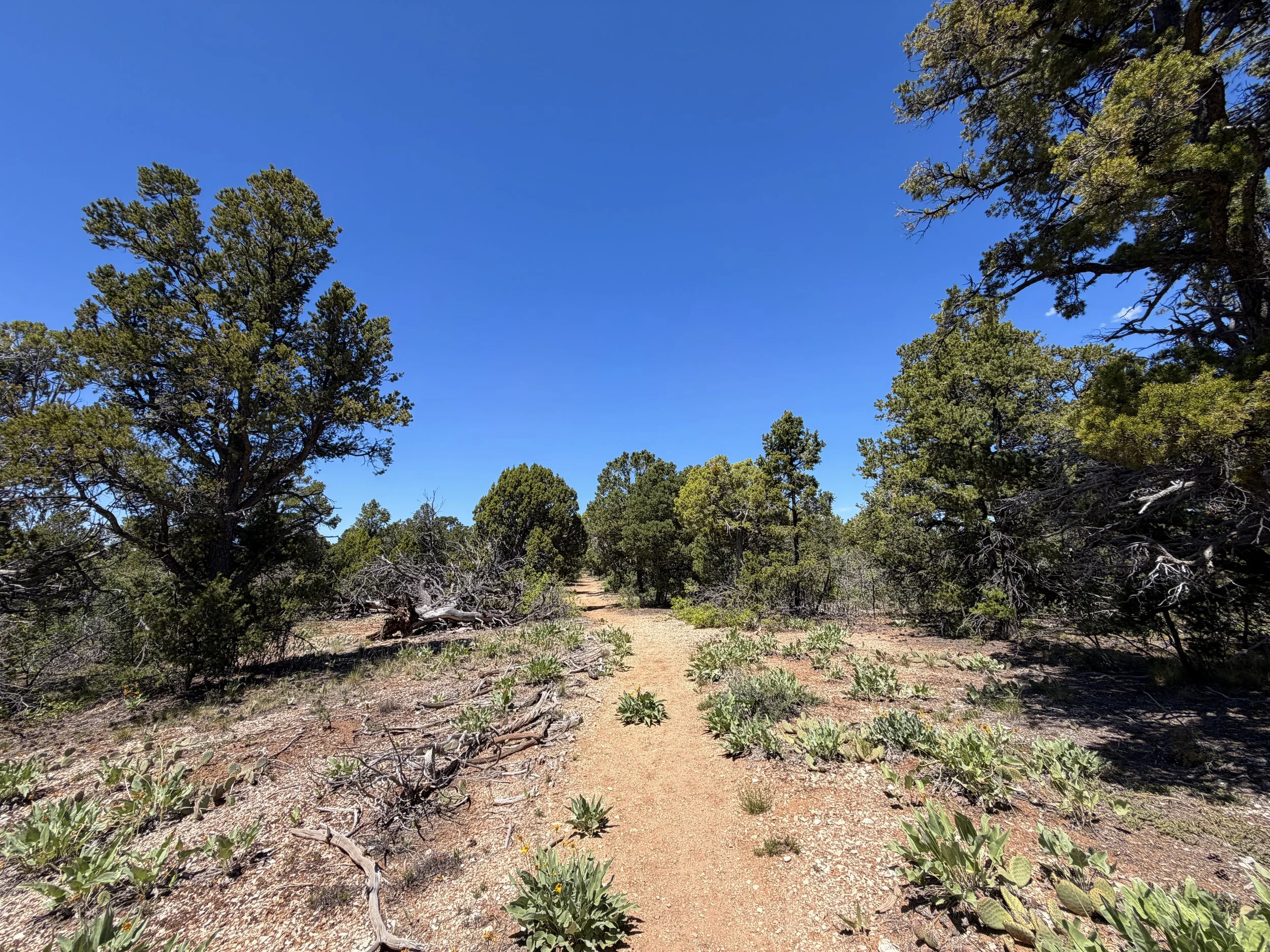 Cable Mountain Trail Zion National Park Utah