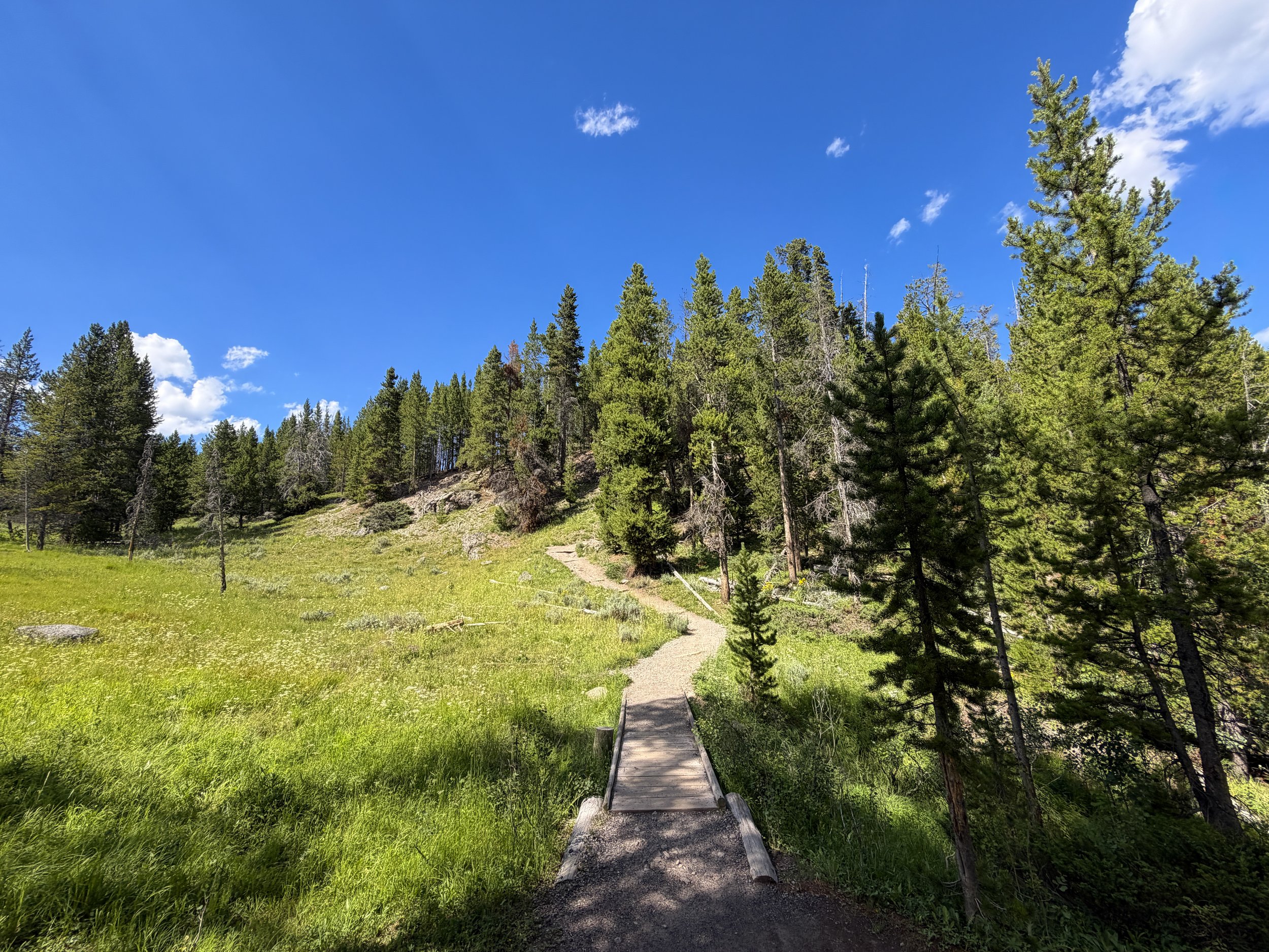 North Rim Hike Yellowstone National Park Wyoming
