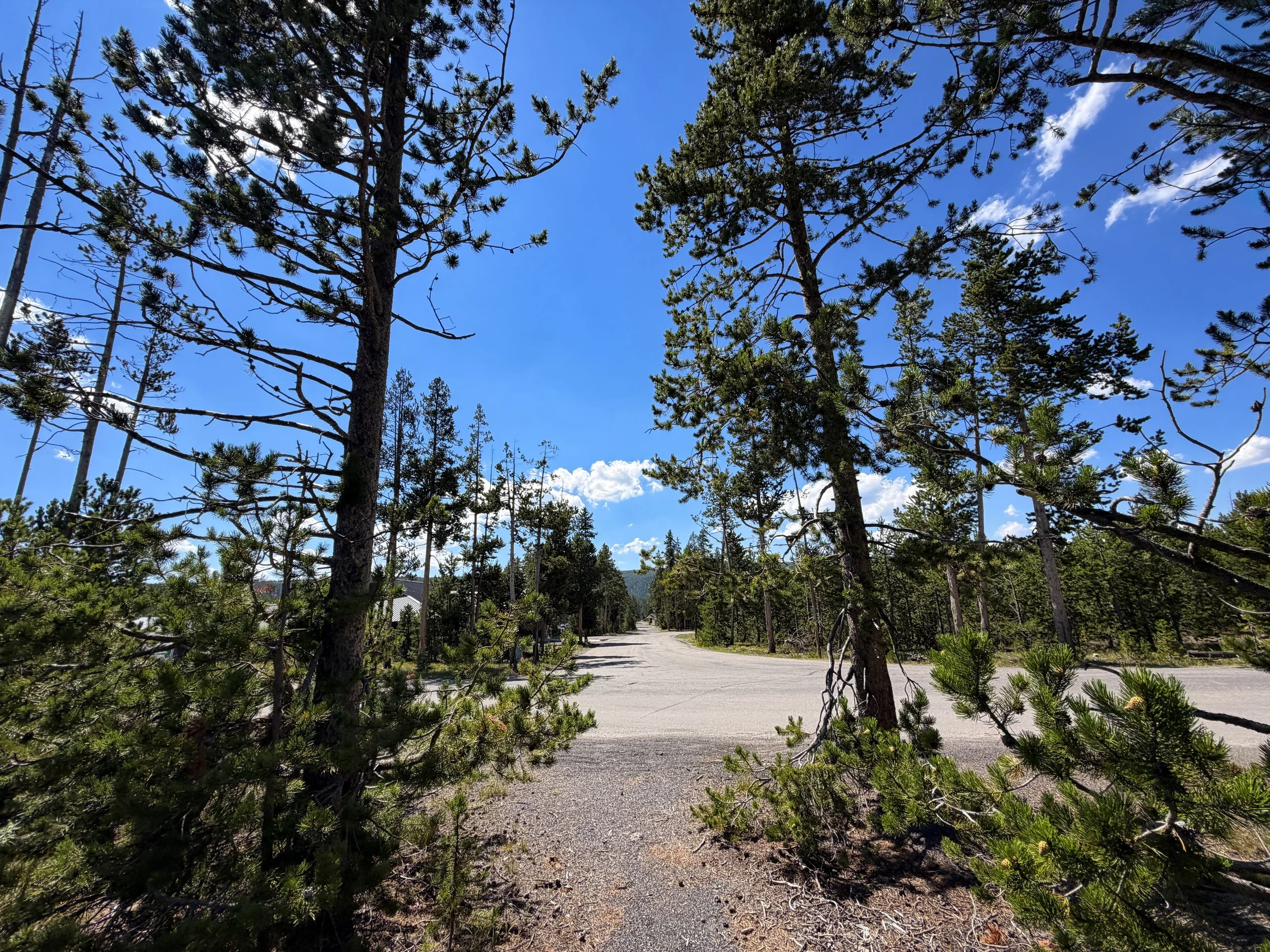 Fern Cascade Loop Trailhead Yellowstone National Park Wyoming