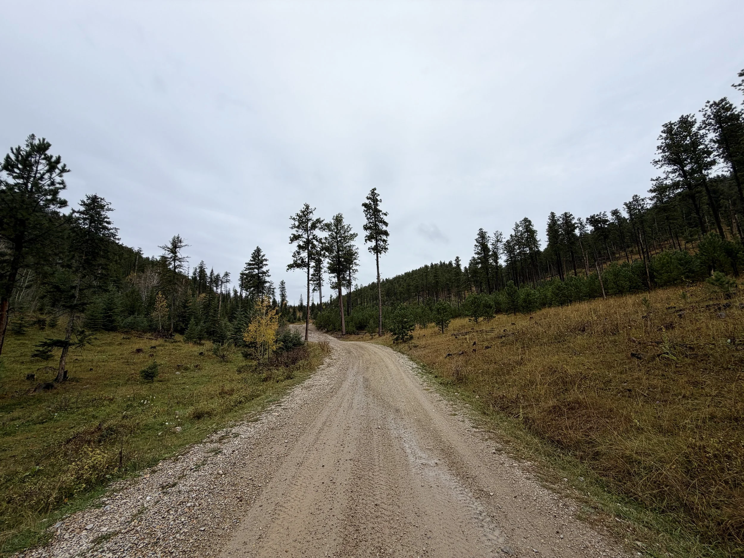 Custer Peak Lookout Trail Black Hills South Dakota