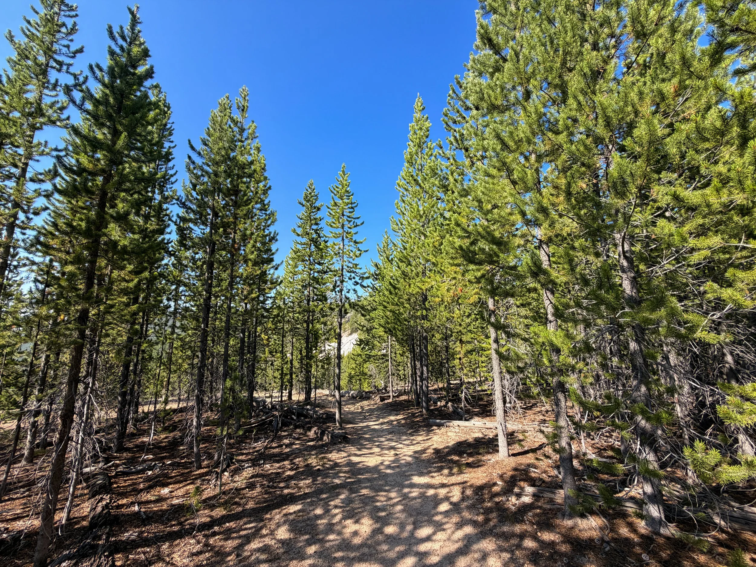 Monument Geyser Basin Hike Yellowstone National Park Wyoming