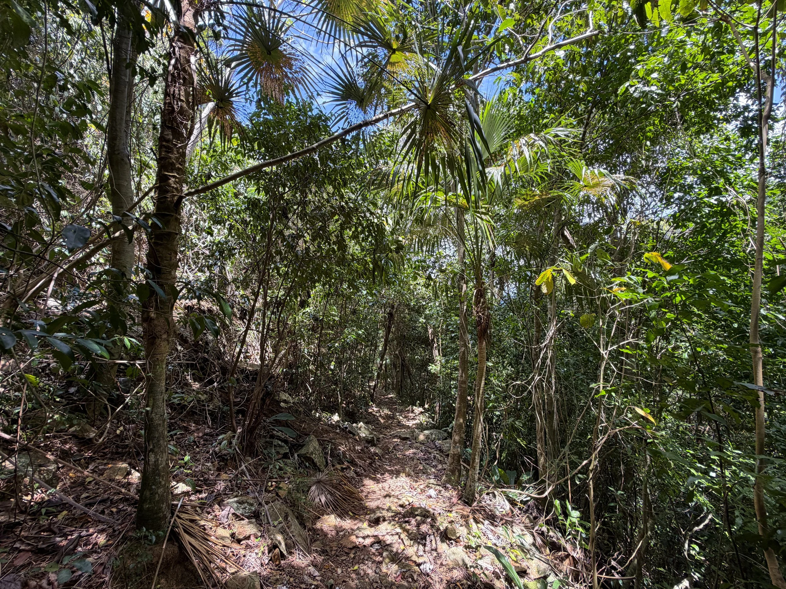 Maria Hope Hike Virgin Islands National Park