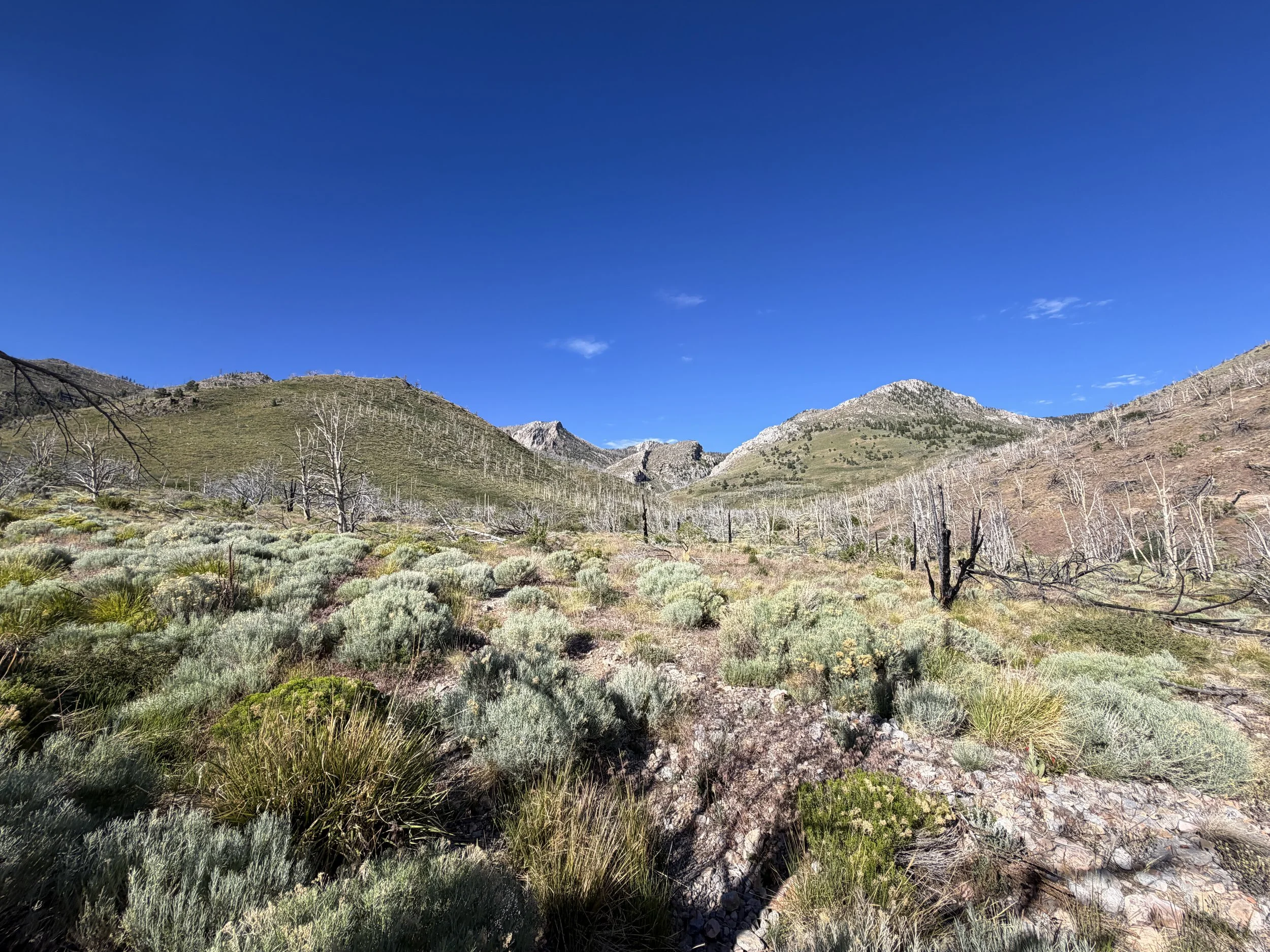 Lexington Arch Hike Great Basin National Park Nevada