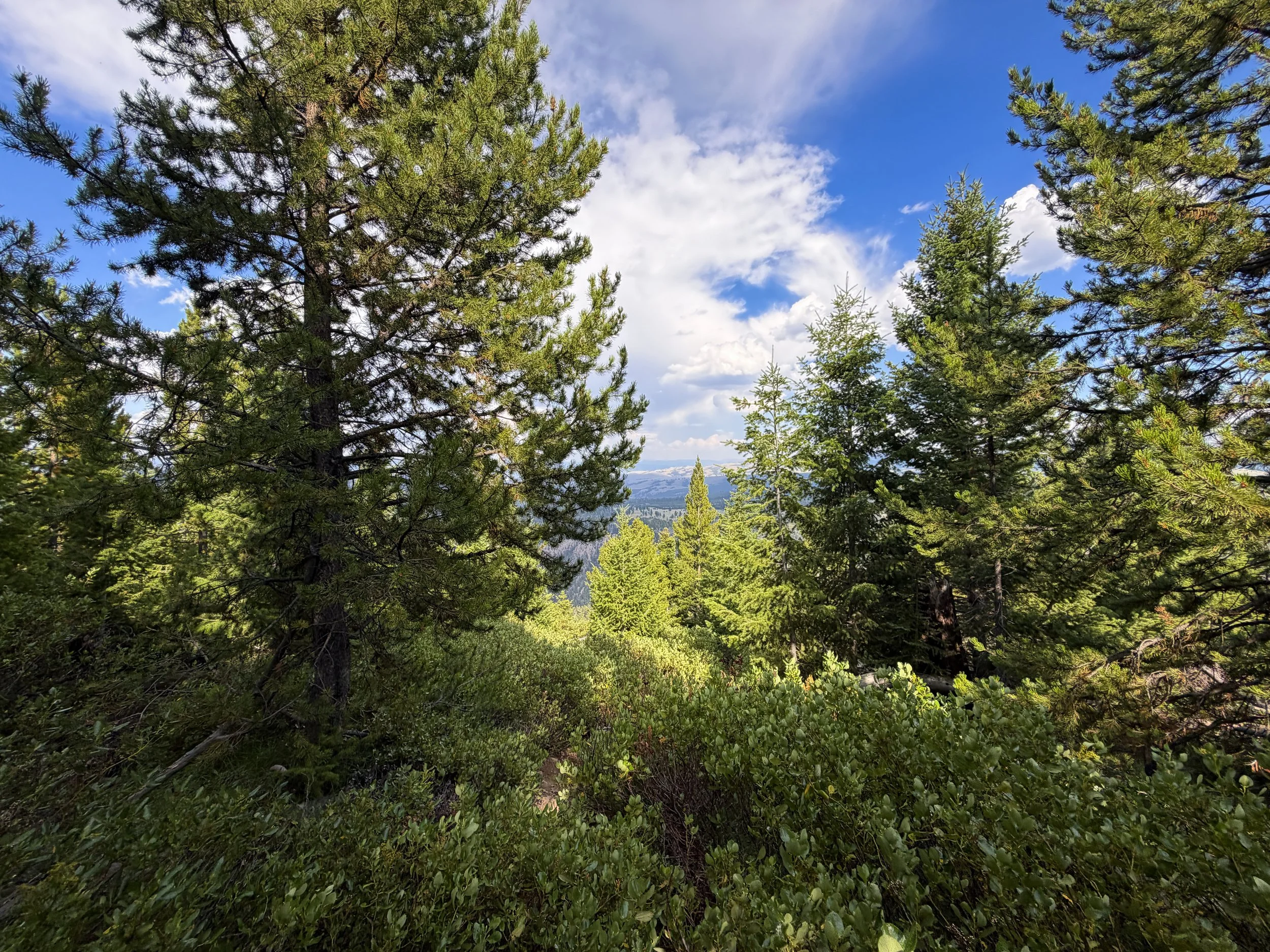 Bunsen Peak Hike Yellowstone National Park Wyoming