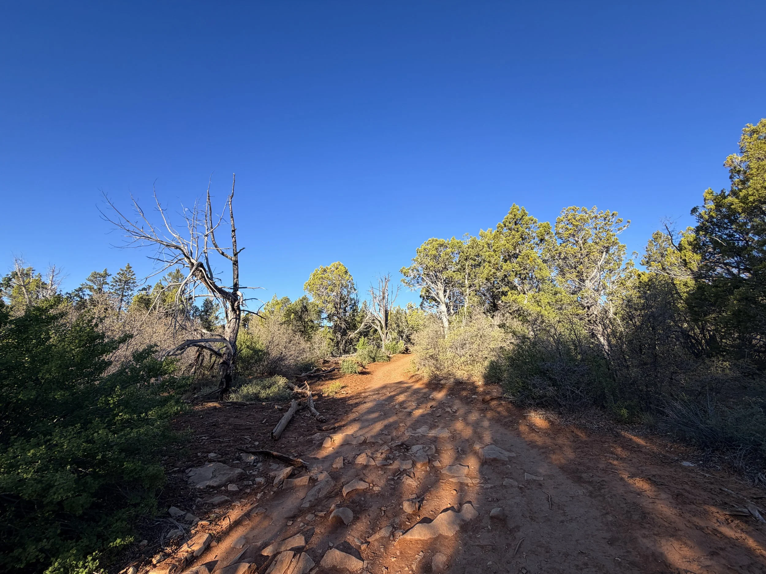 East Mesa Trail Zion National Park Utah