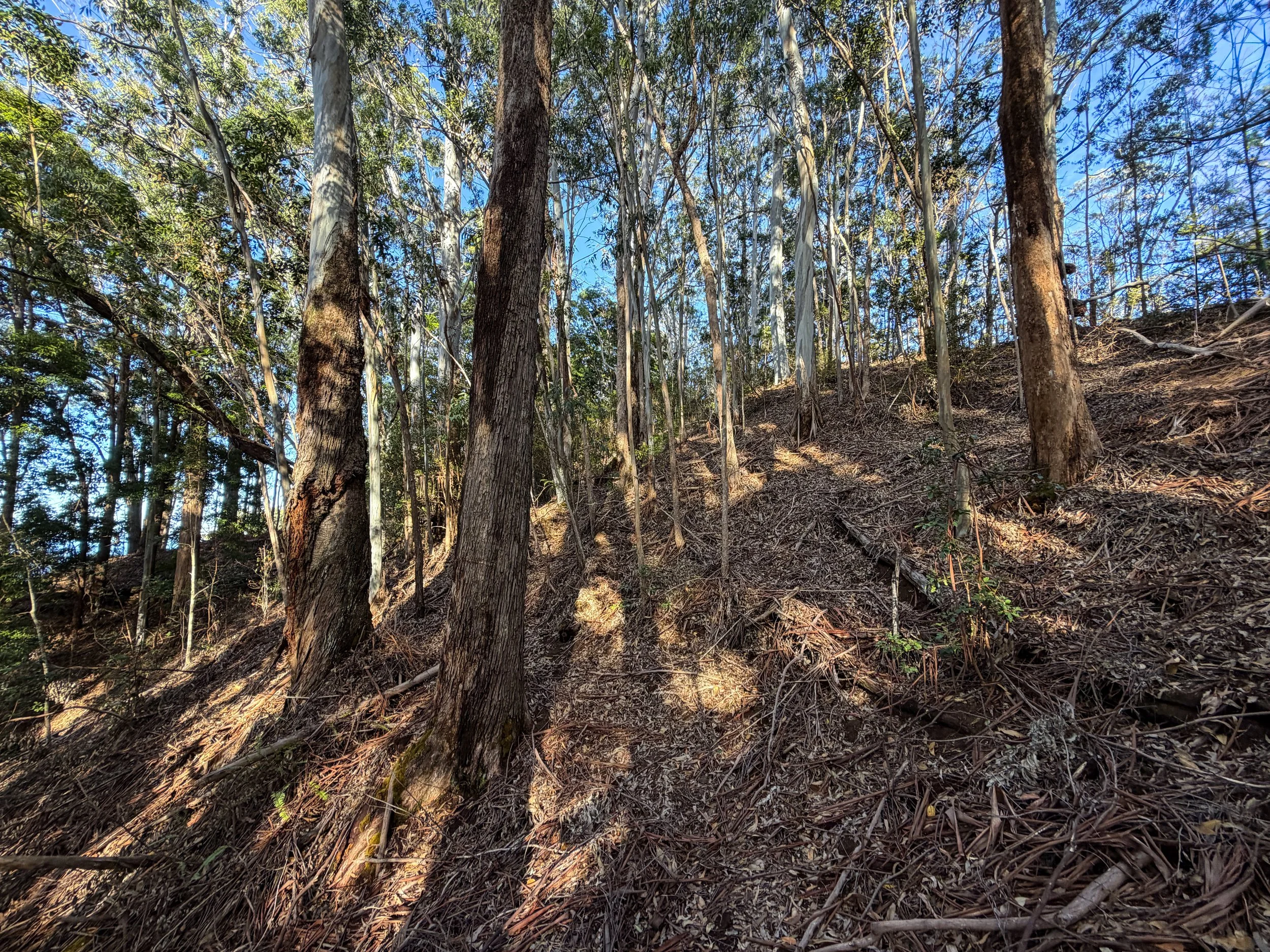 Mokuleia Trail Oahu Hawaii