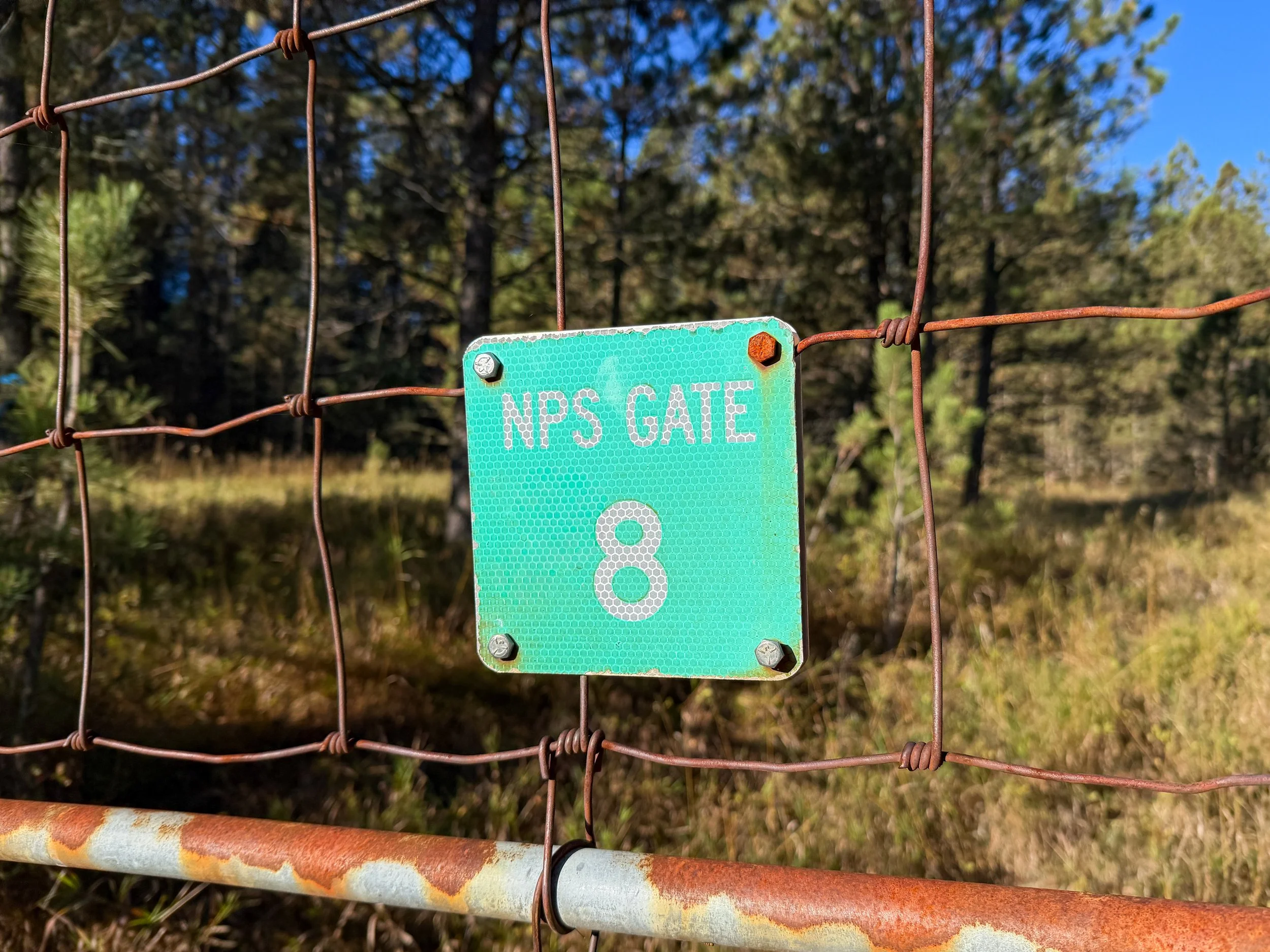 End of Cold Brook Canyon Trail Wind Cave National Park South Dakota