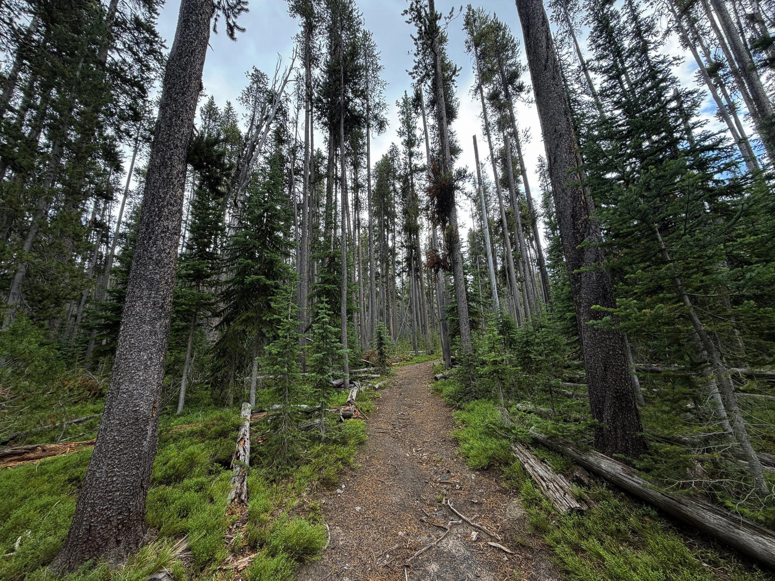 Divide Mountain Hike Yellowstone National Park Wyoming